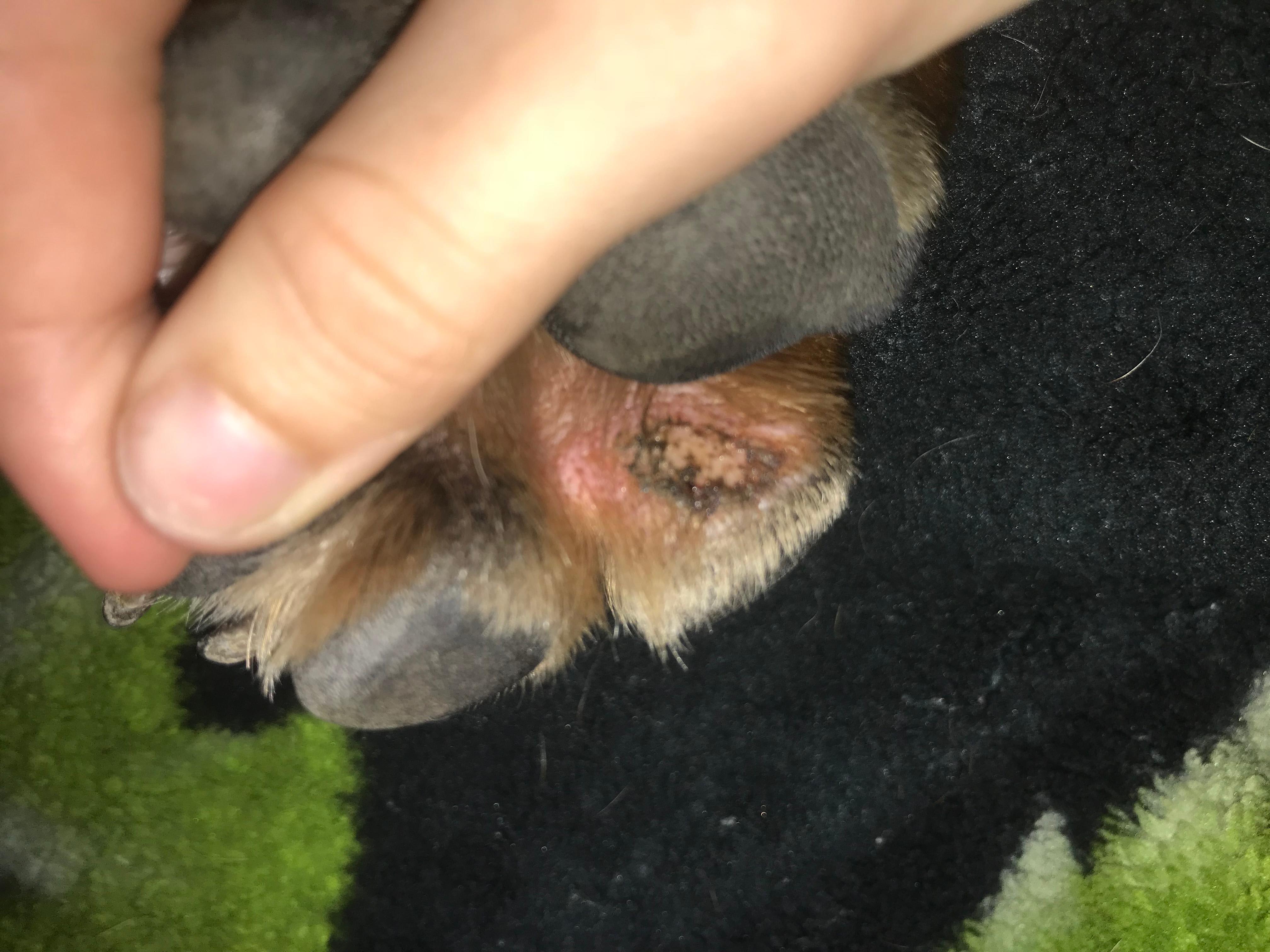 Question details sensitive content