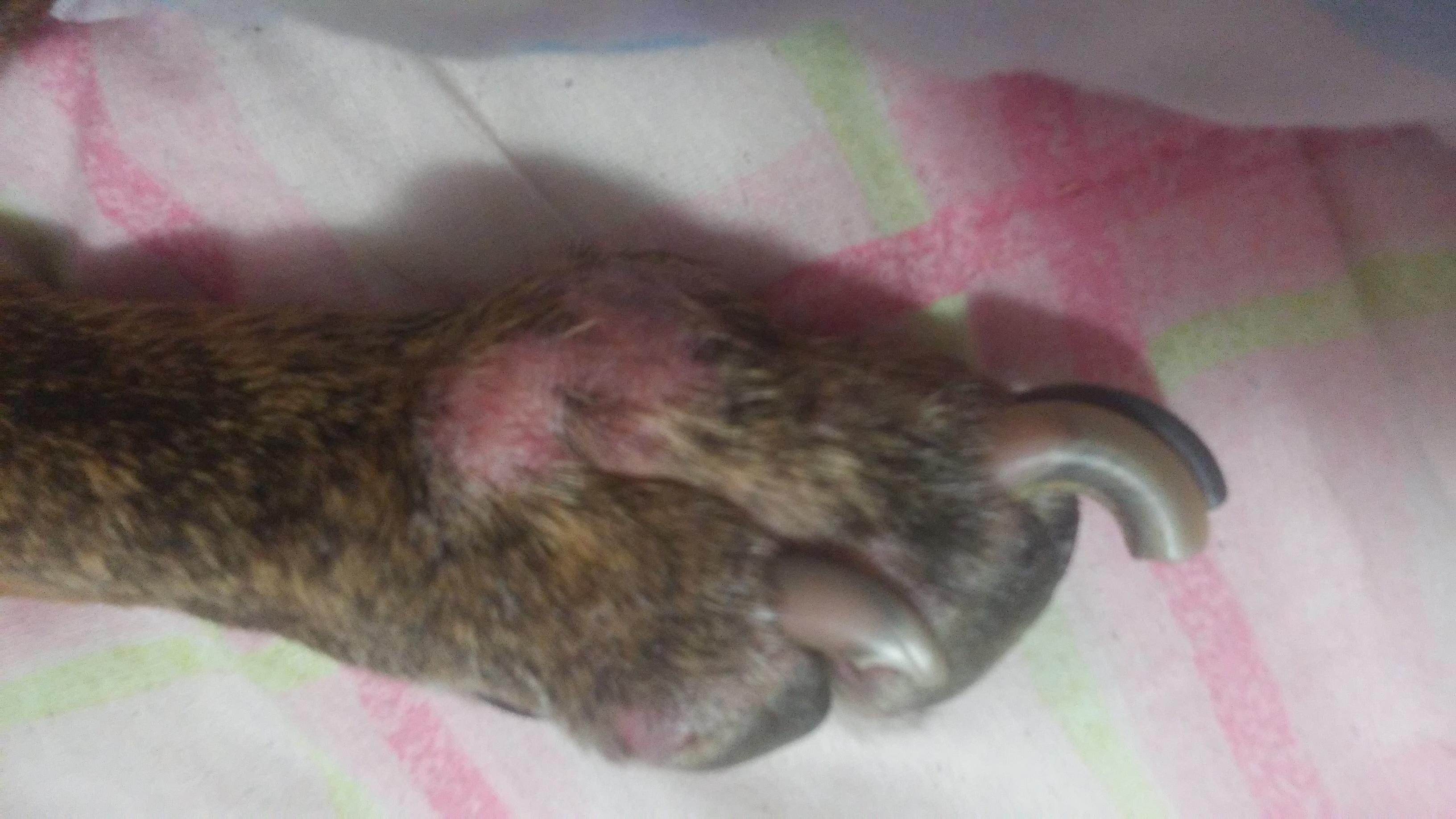 Question details sensitive content