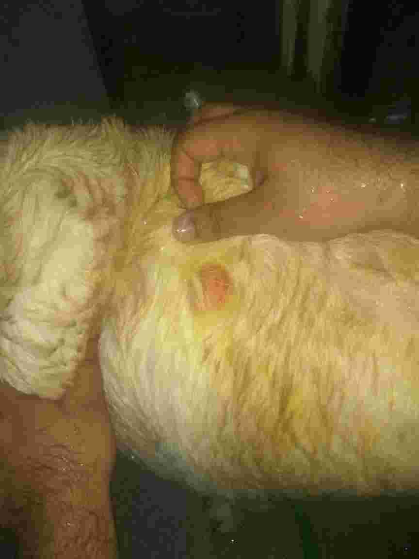 Question details sensitive content