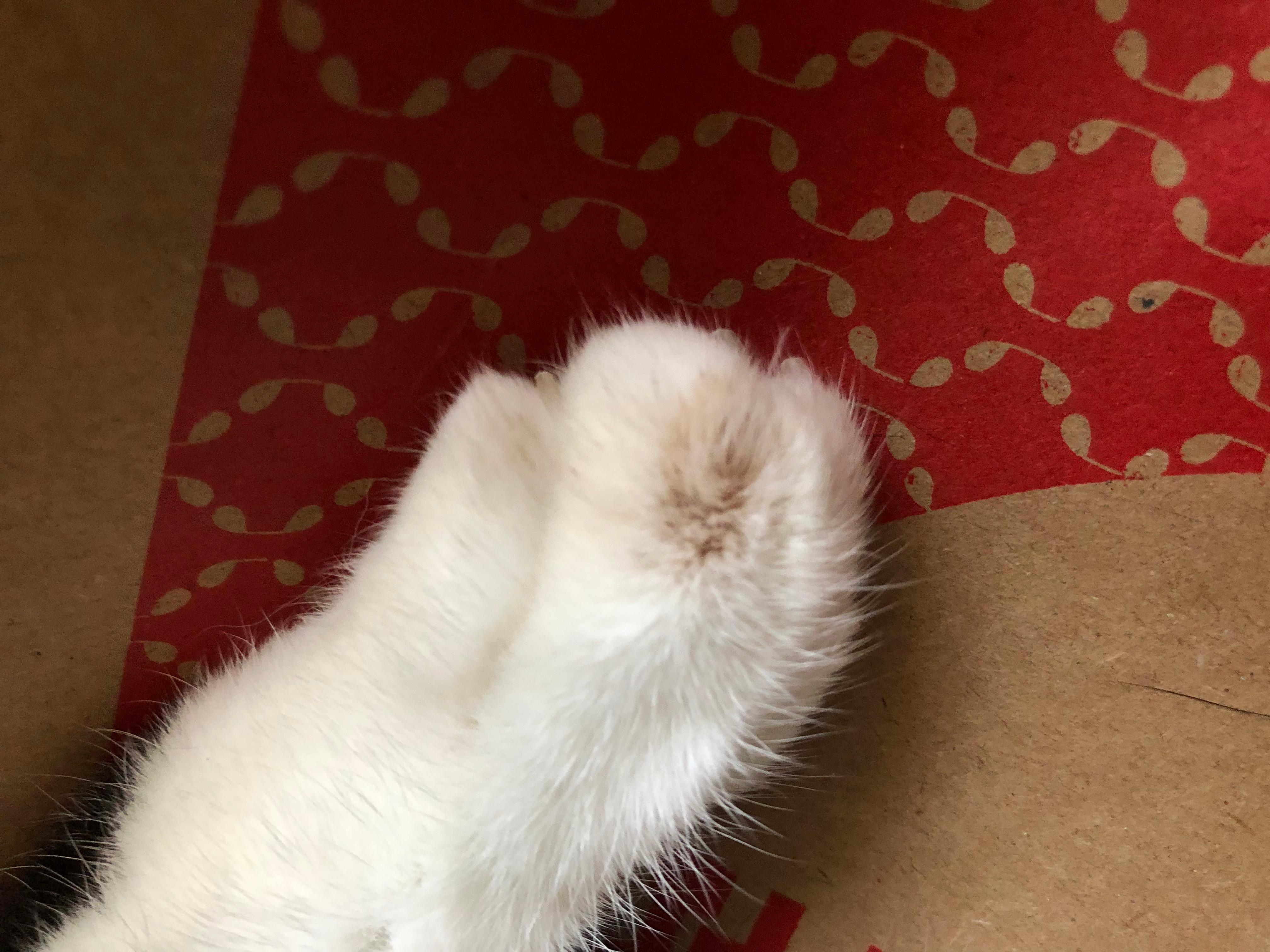 Question details sensitive content