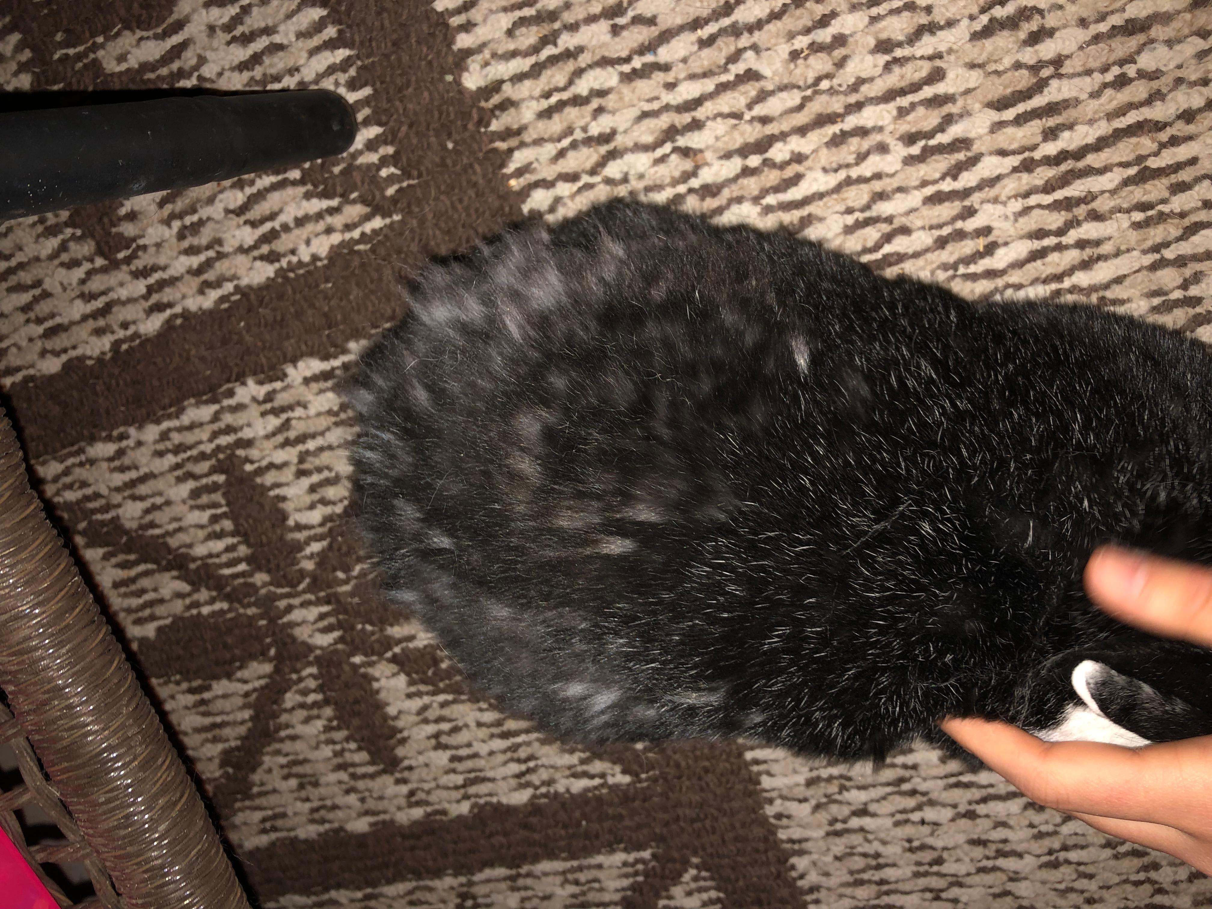 Question details sensitive content