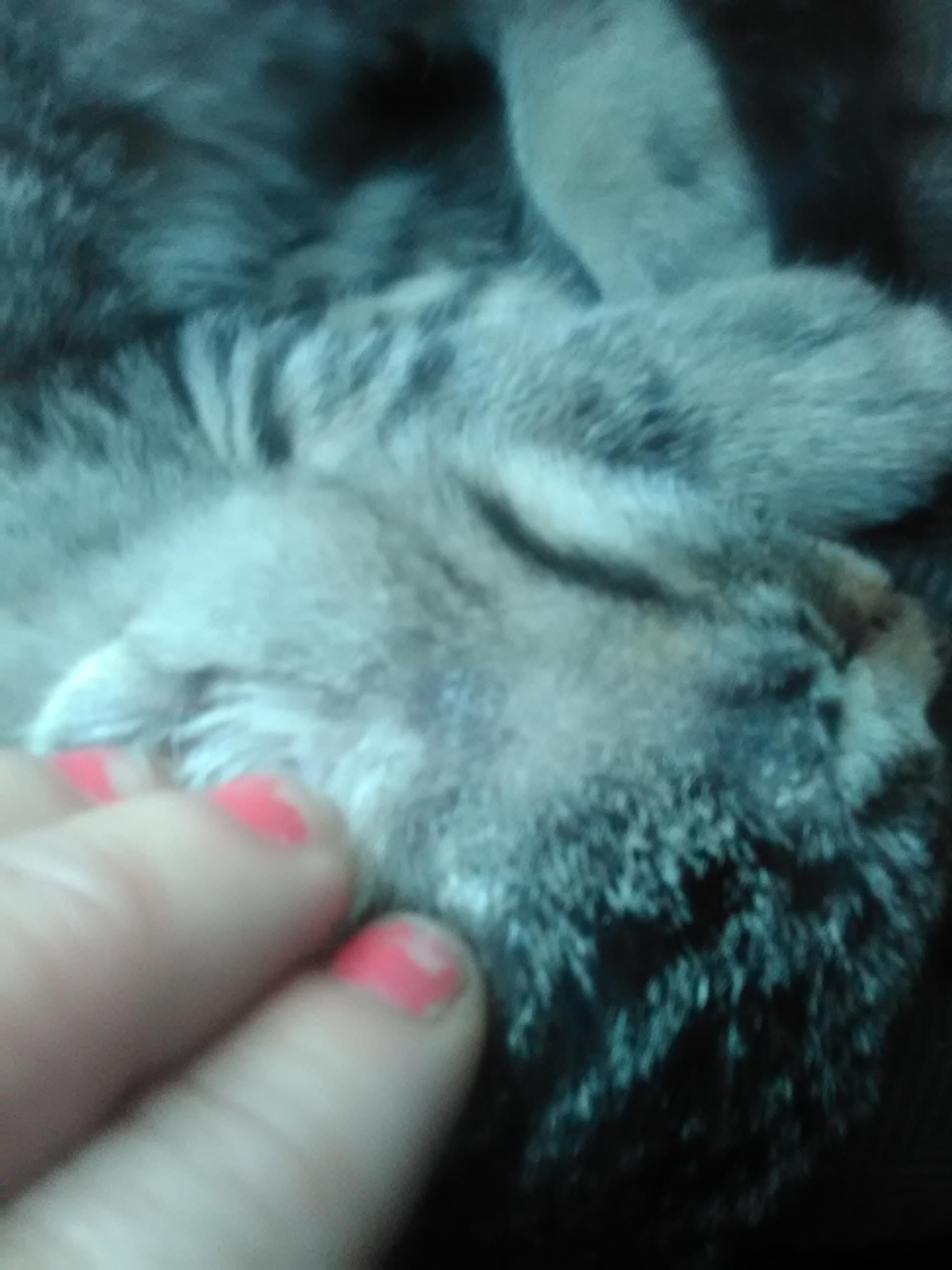 Question details sensitive content