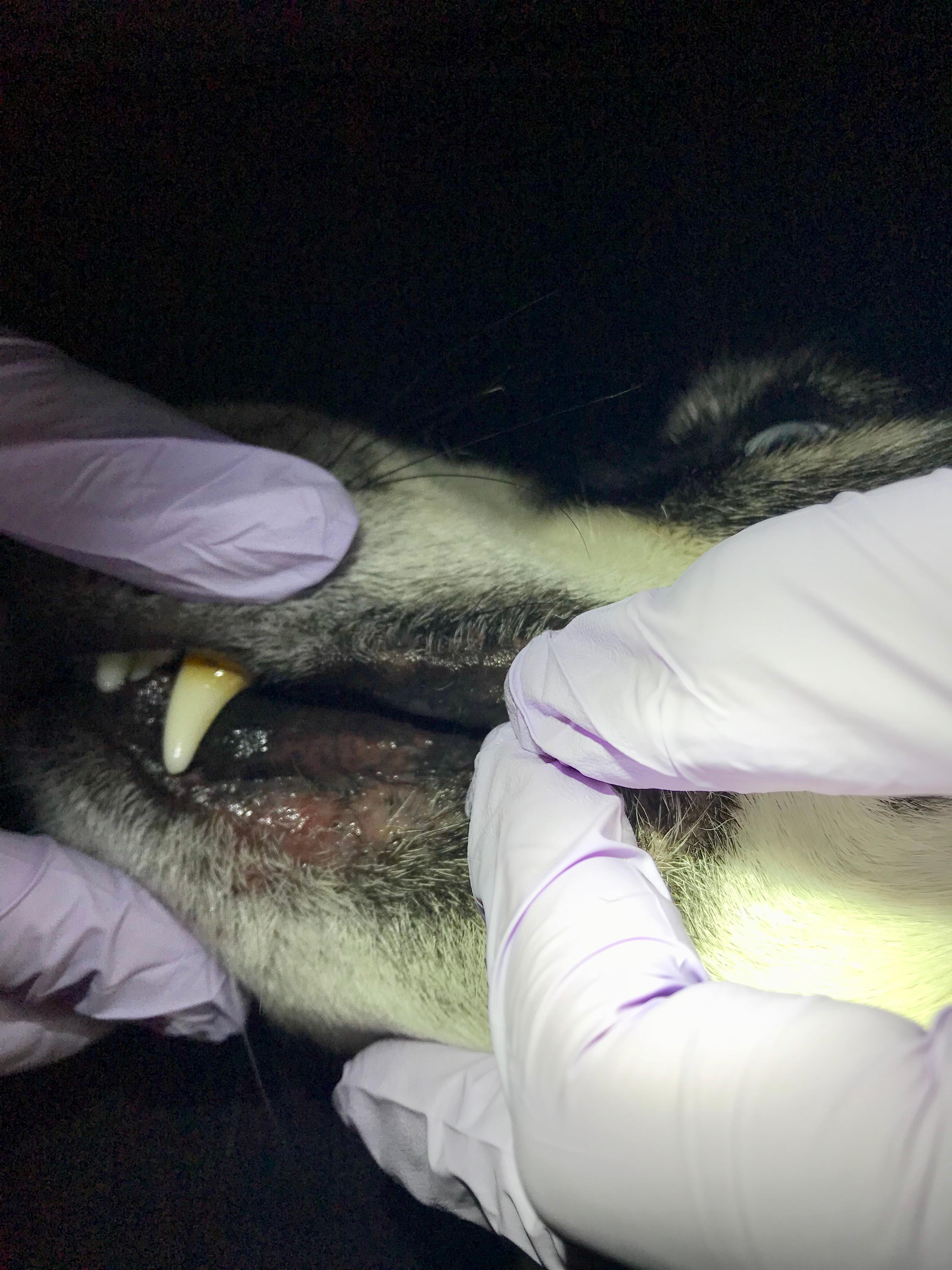 Question details sensitive content