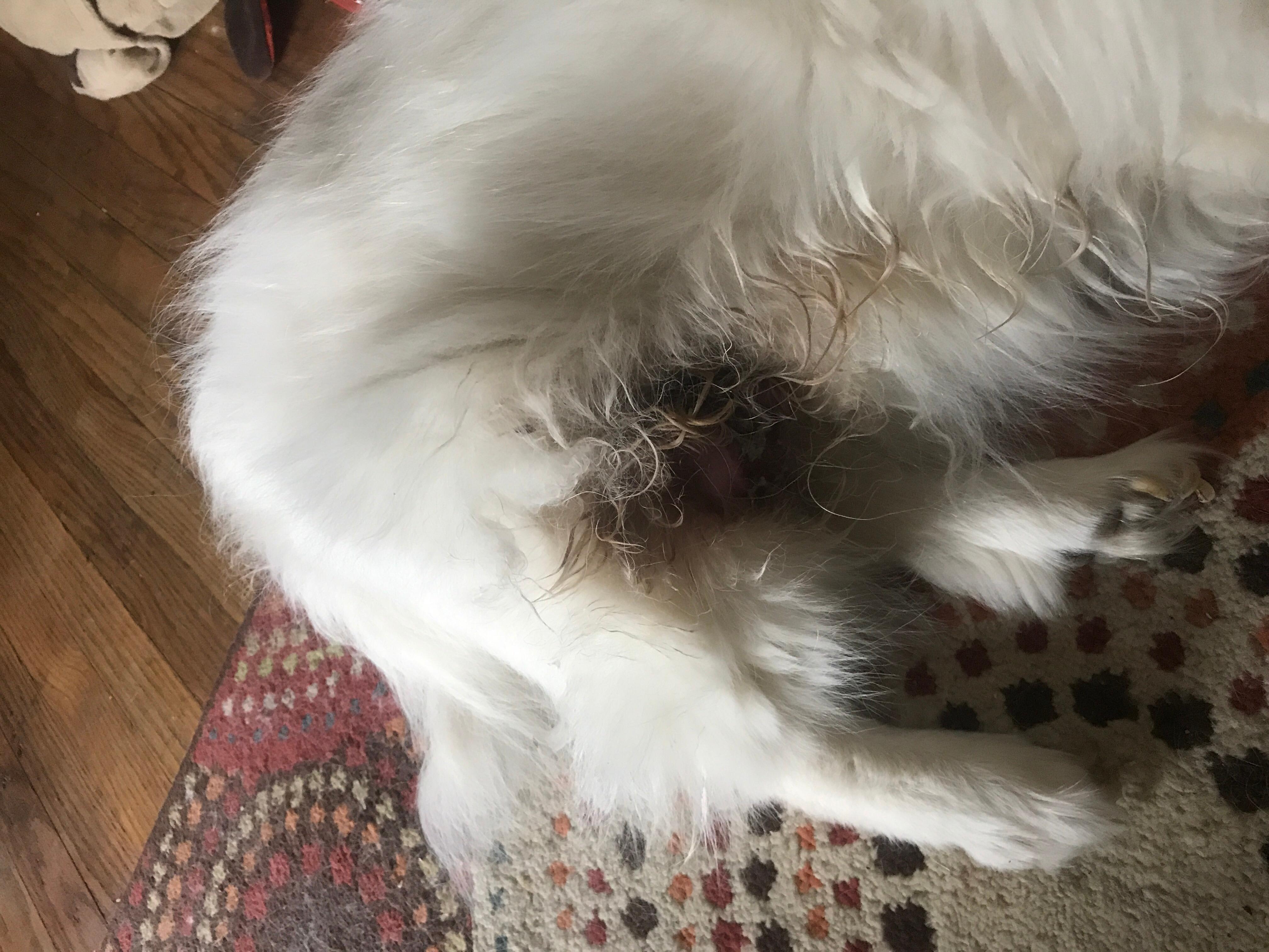 Question details sensitive content