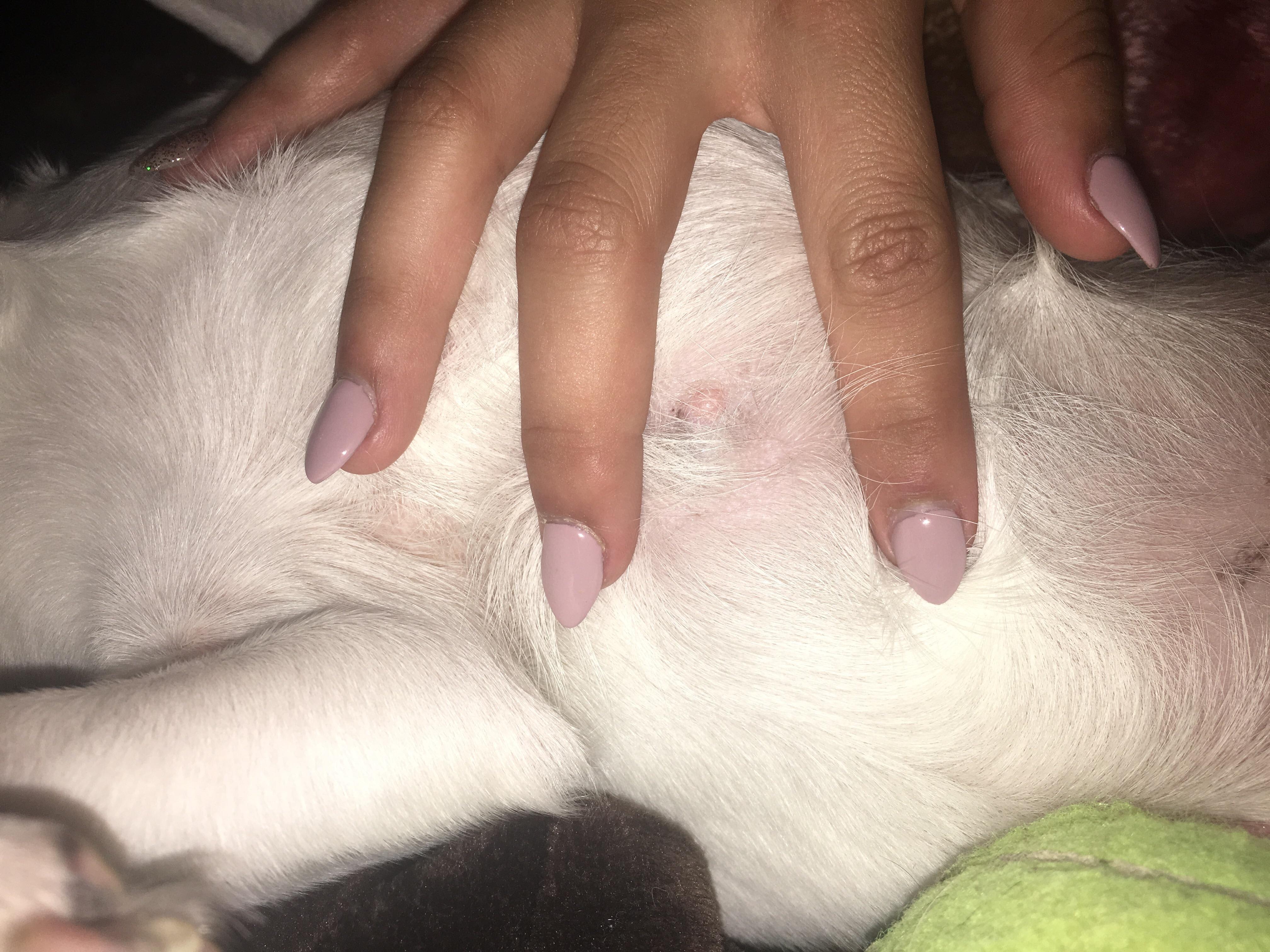 Question details sensitive content