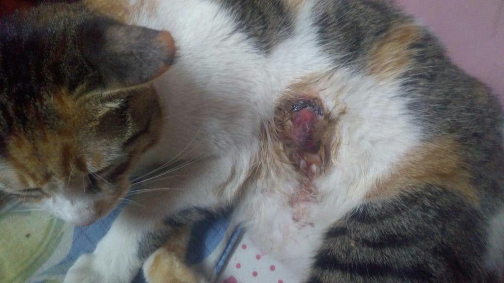 Question details sensitive content