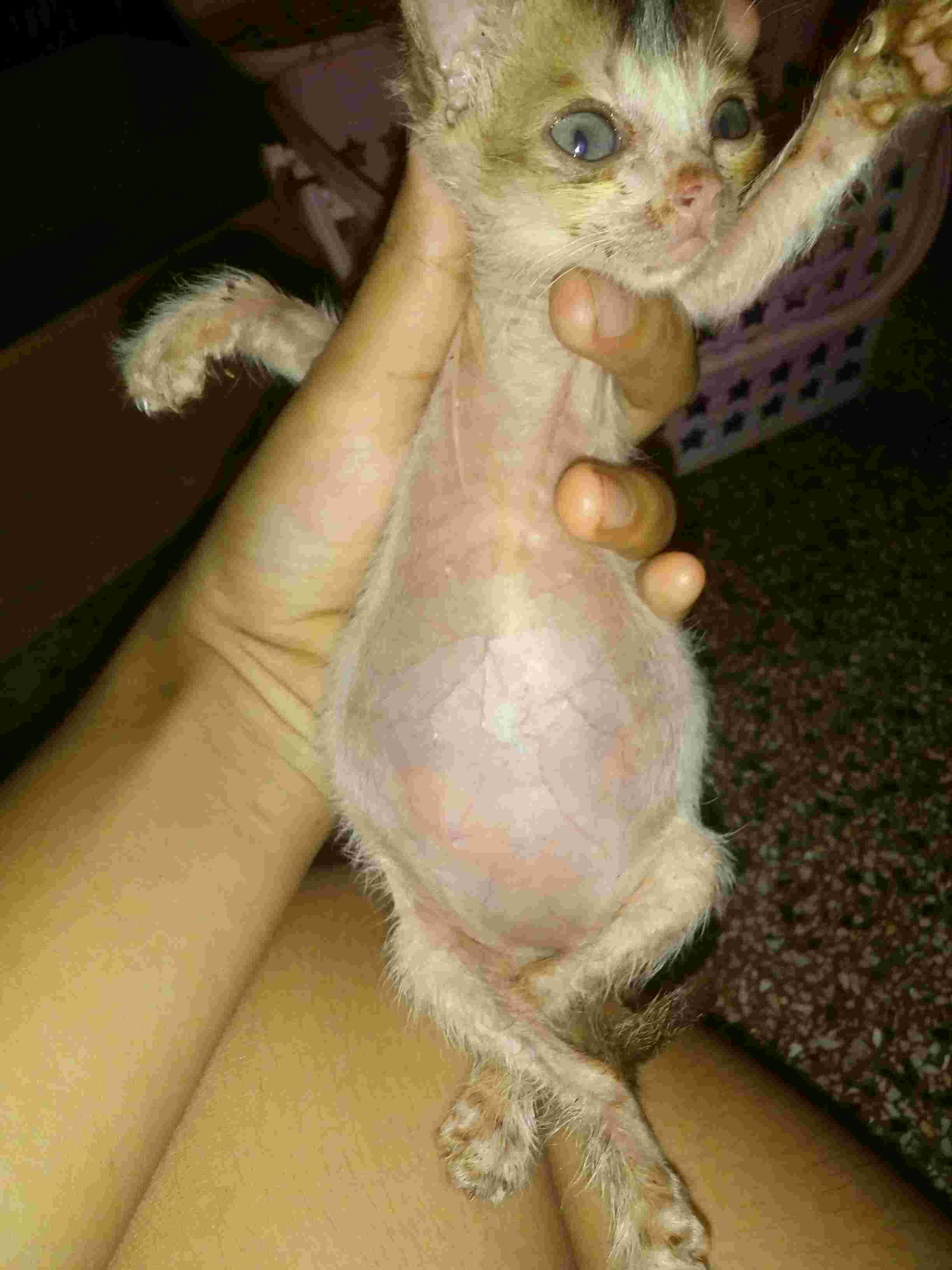 Question details sensitive content