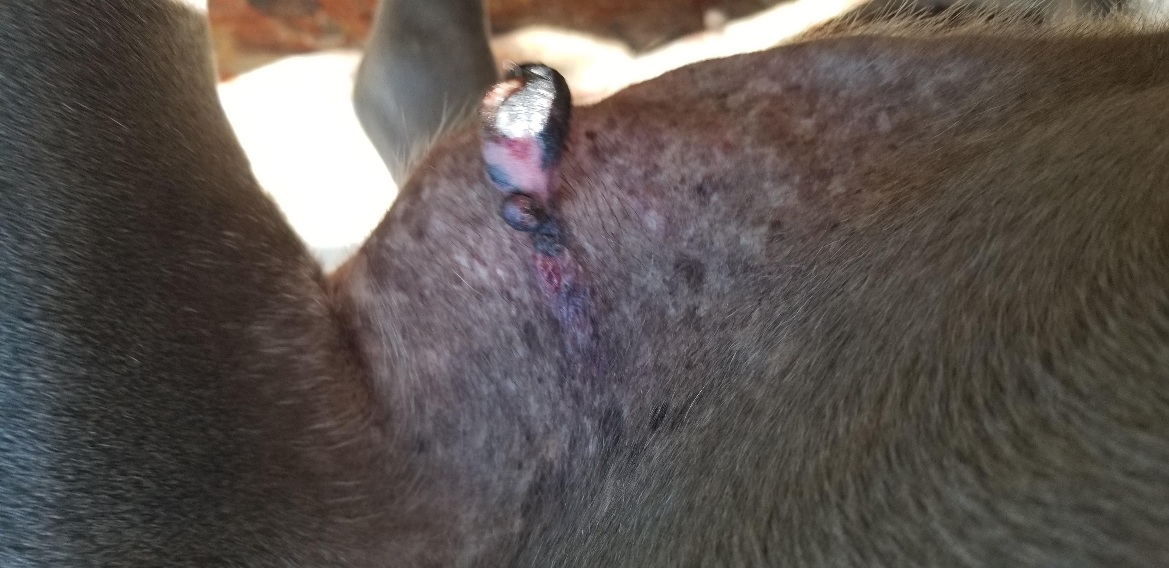 Question details sensitive content