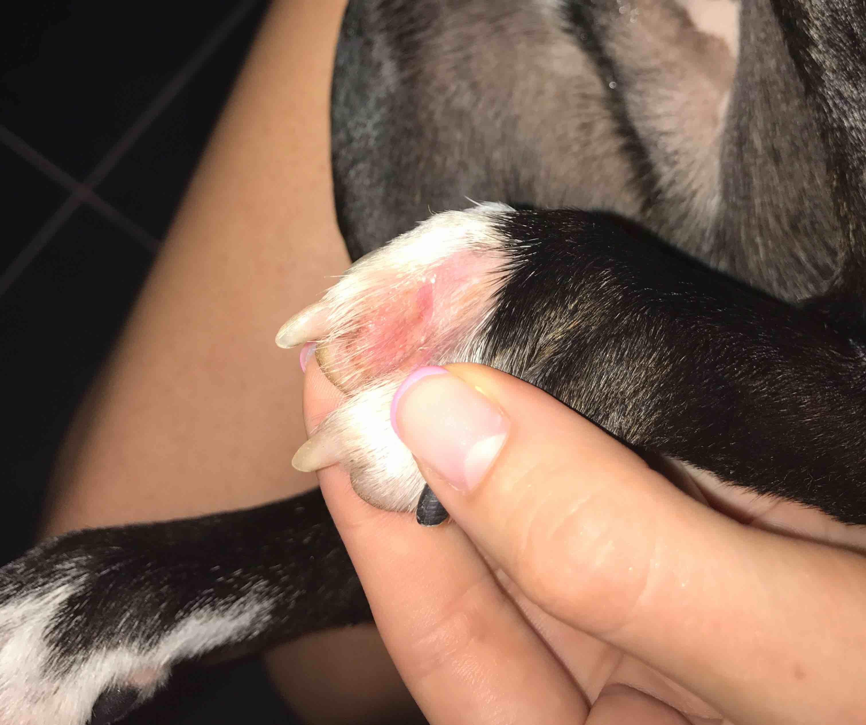 Question details sensitive content