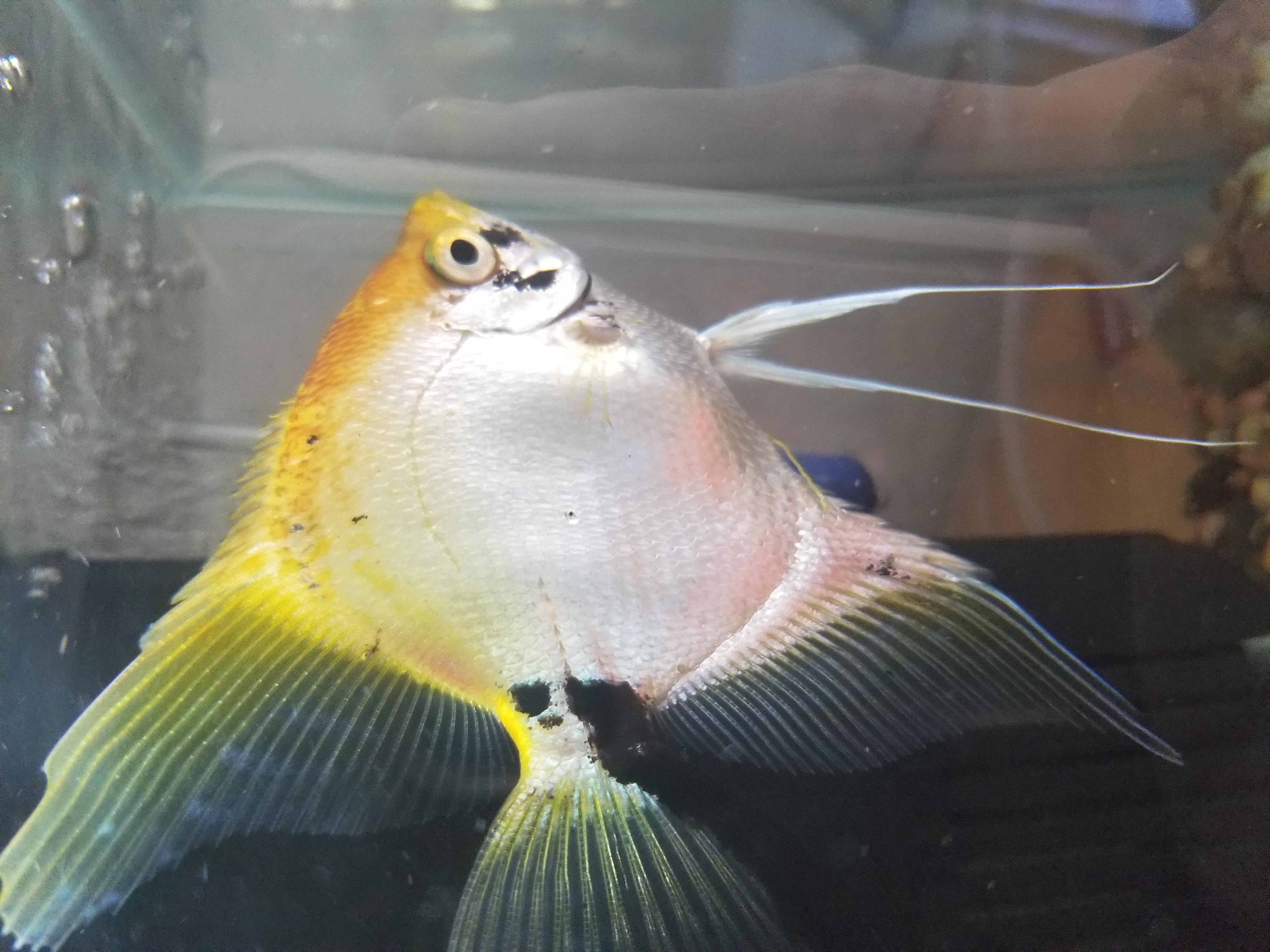 Question details sensitive content