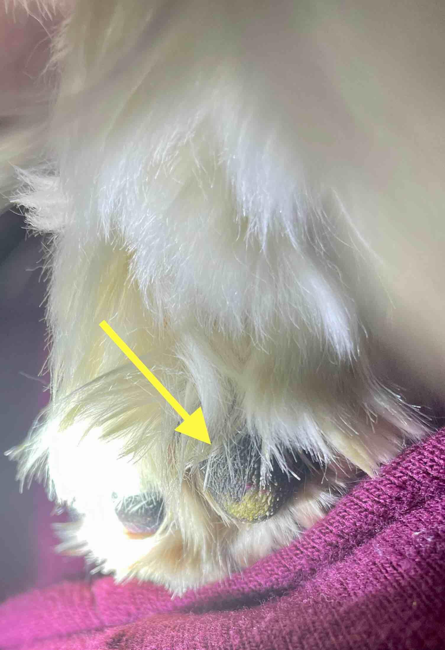 Question details sensitive content