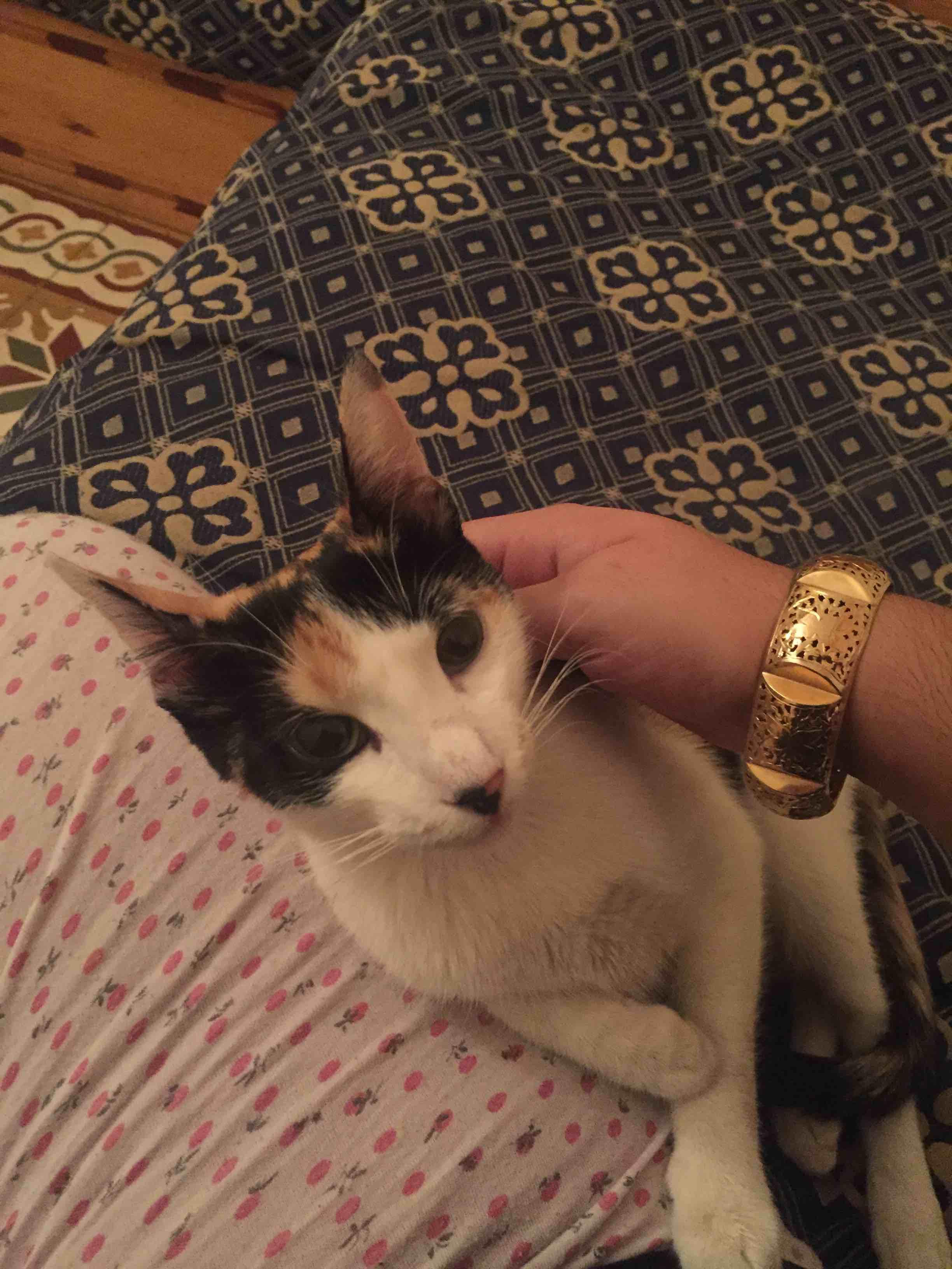 Question details sensitive content