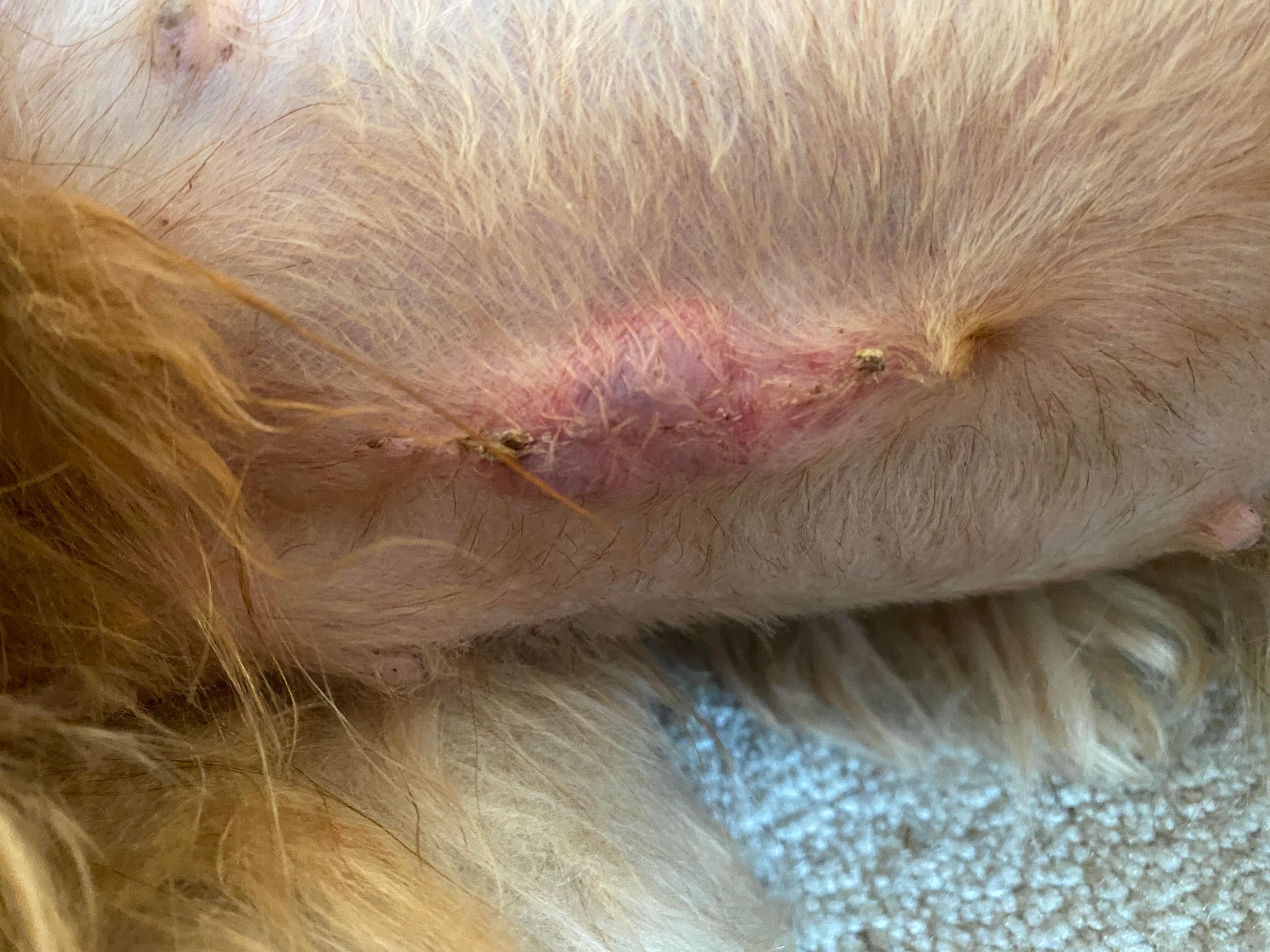 Question details sensitive content