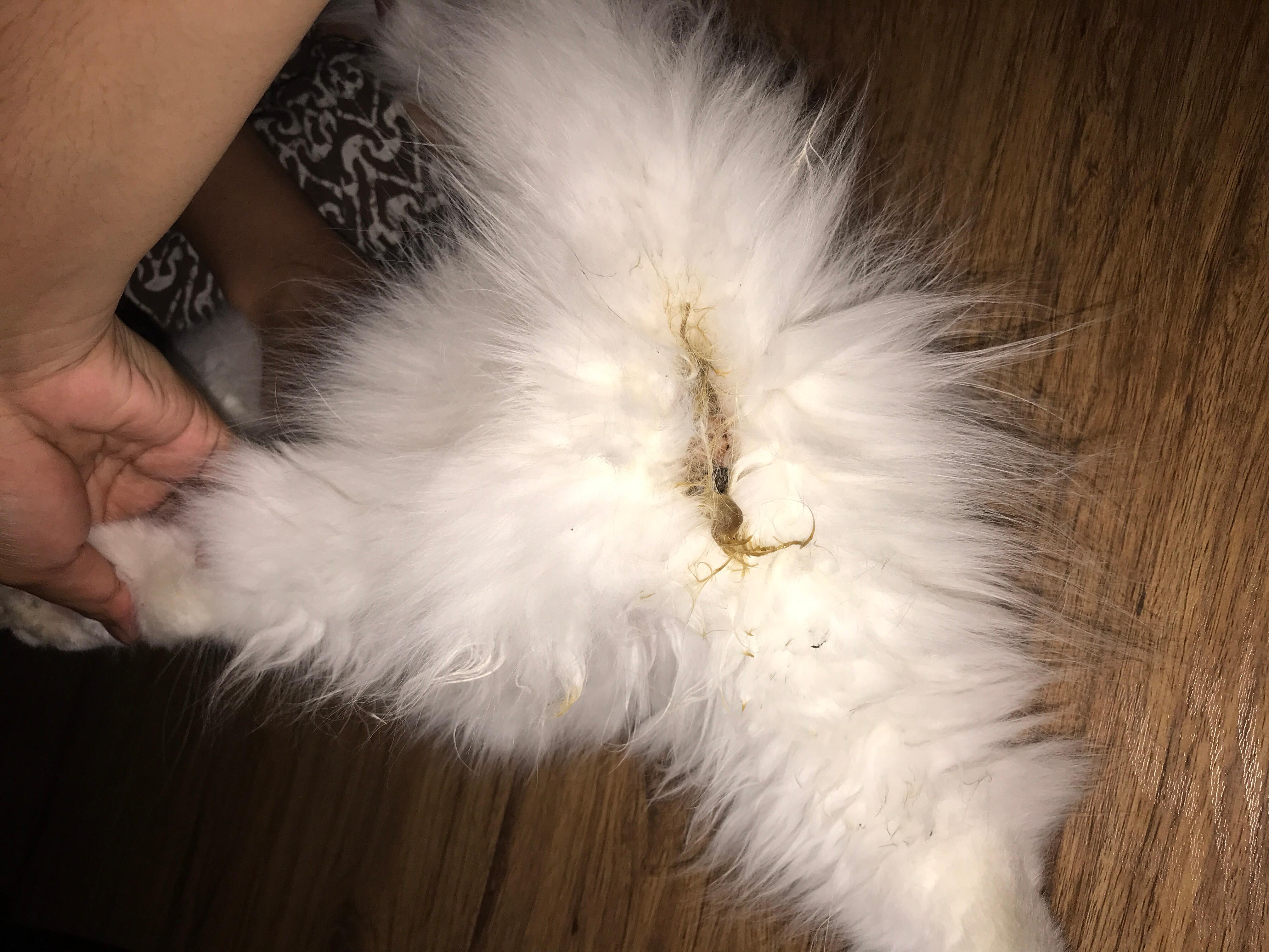 Question details sensitive content