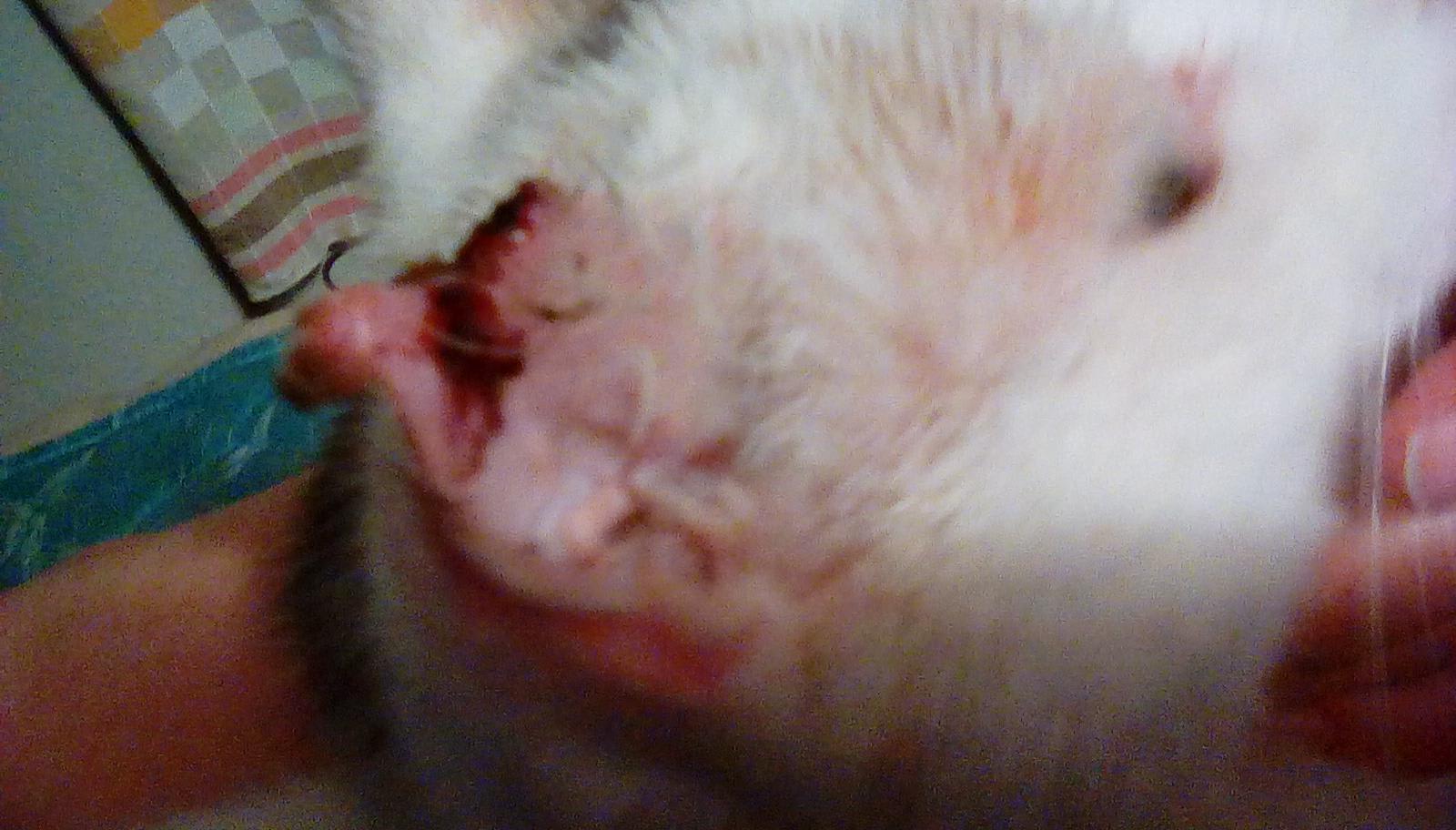 Question details sensitive content