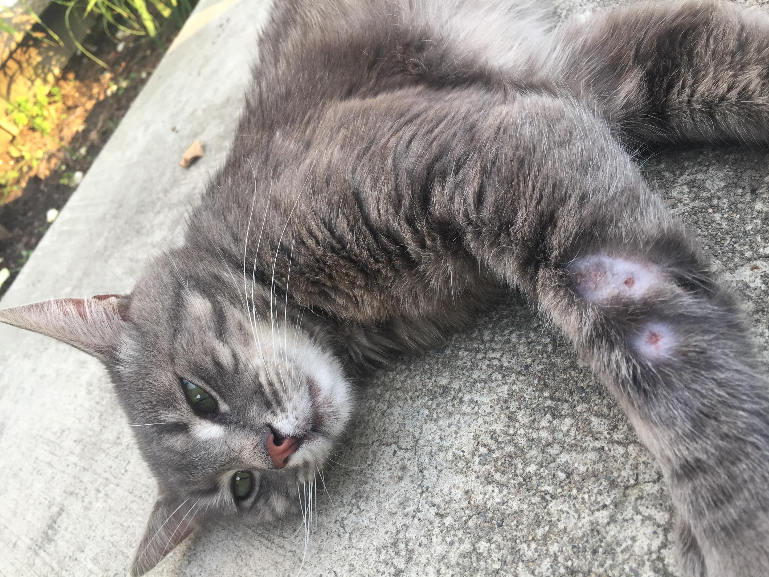 Question details sensitive content