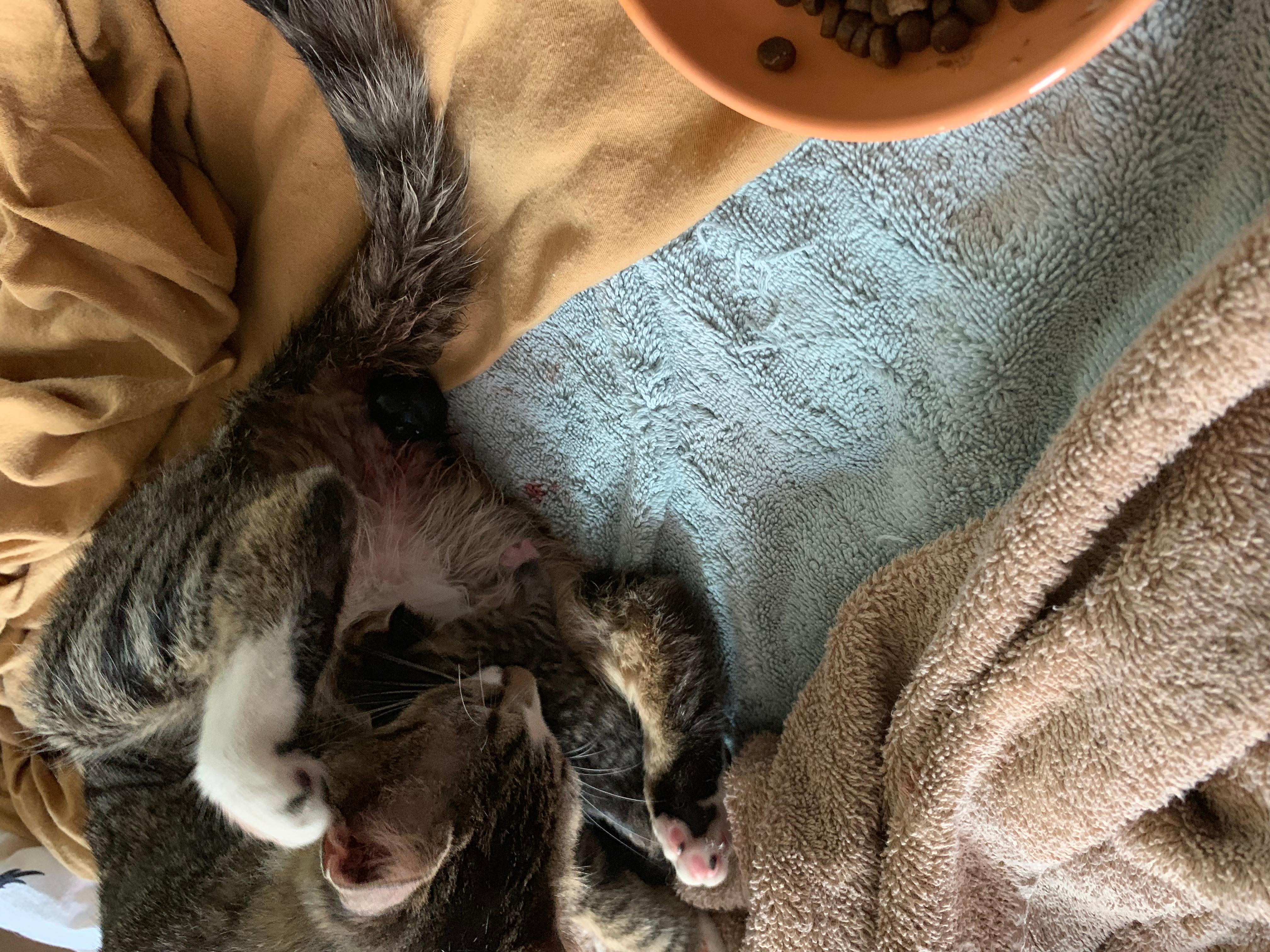 Question details sensitive content