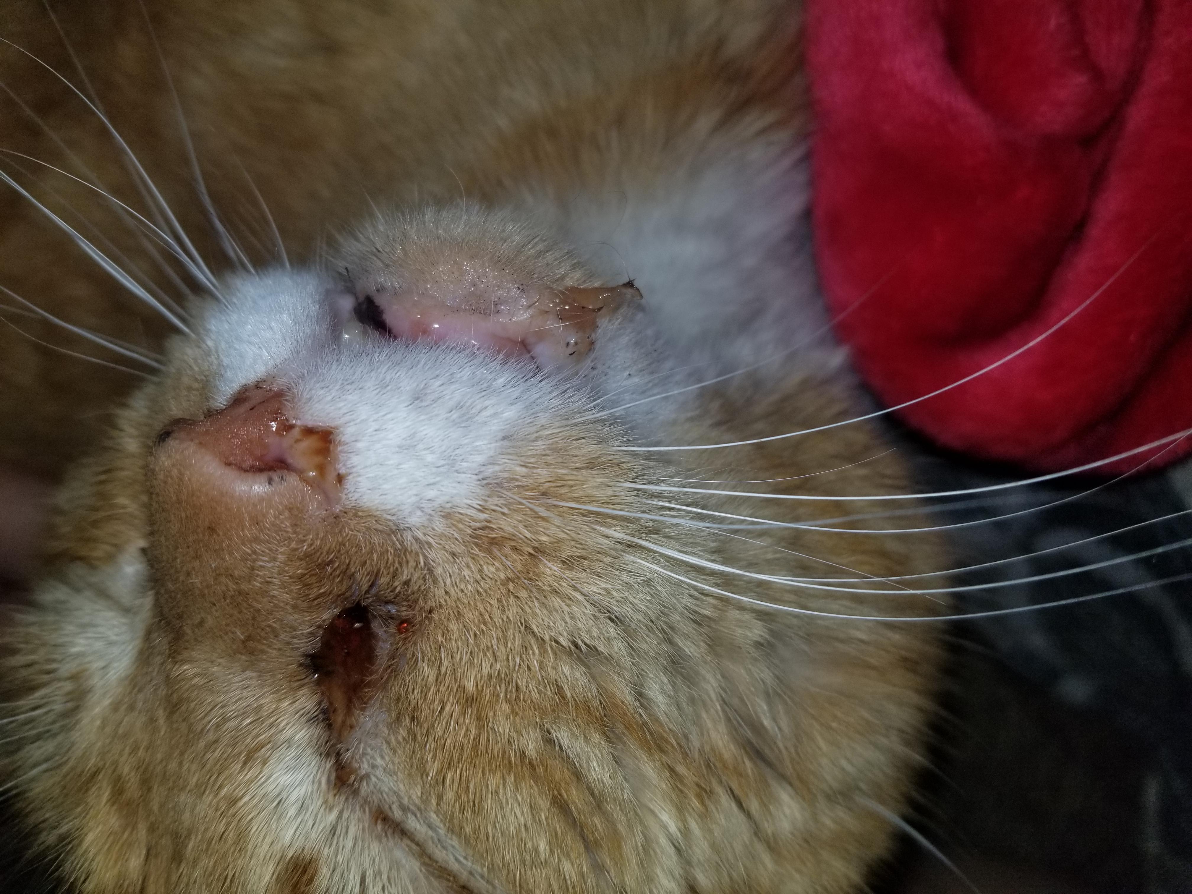 Question details sensitive content