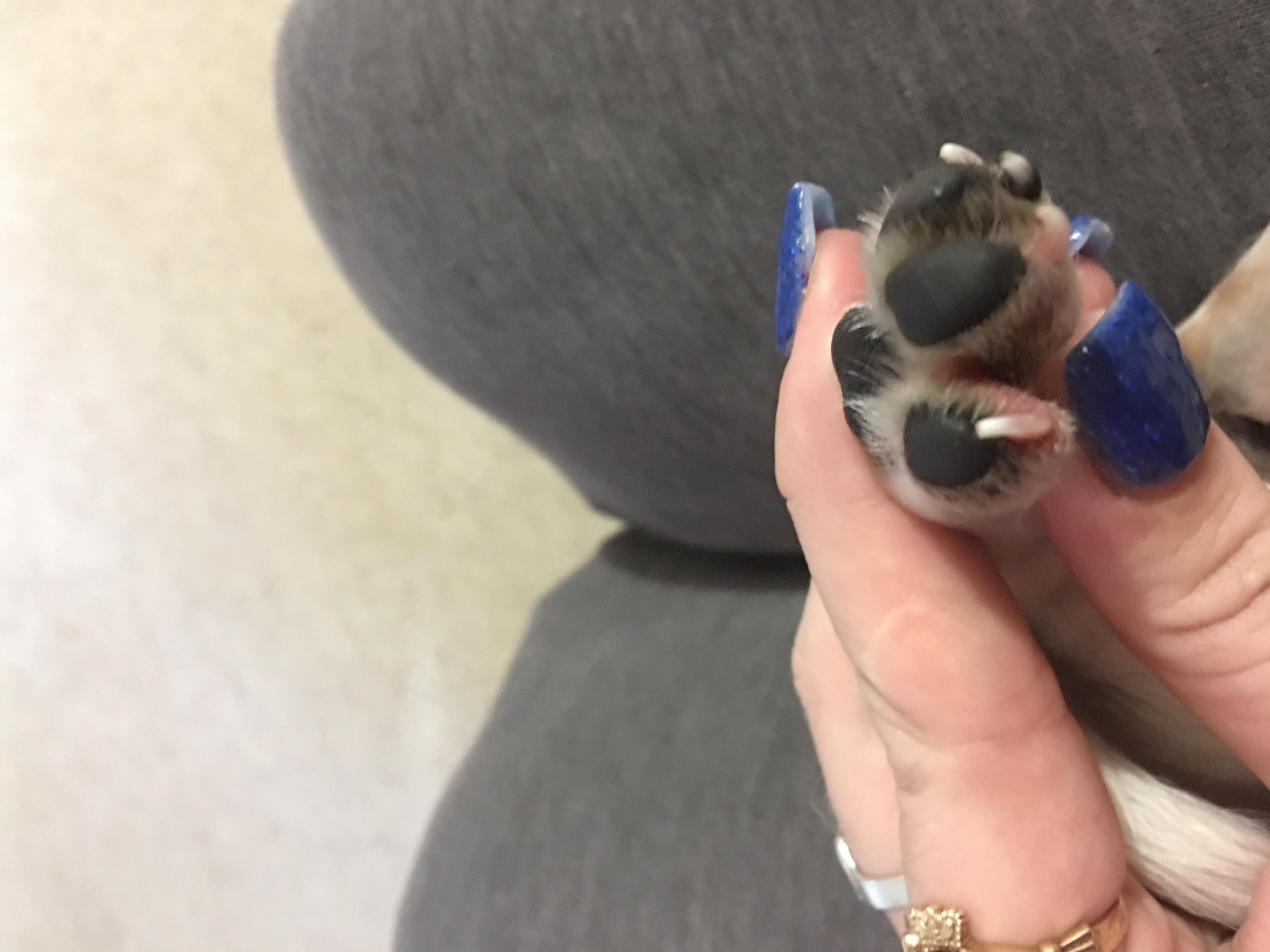 Question details sensitive content