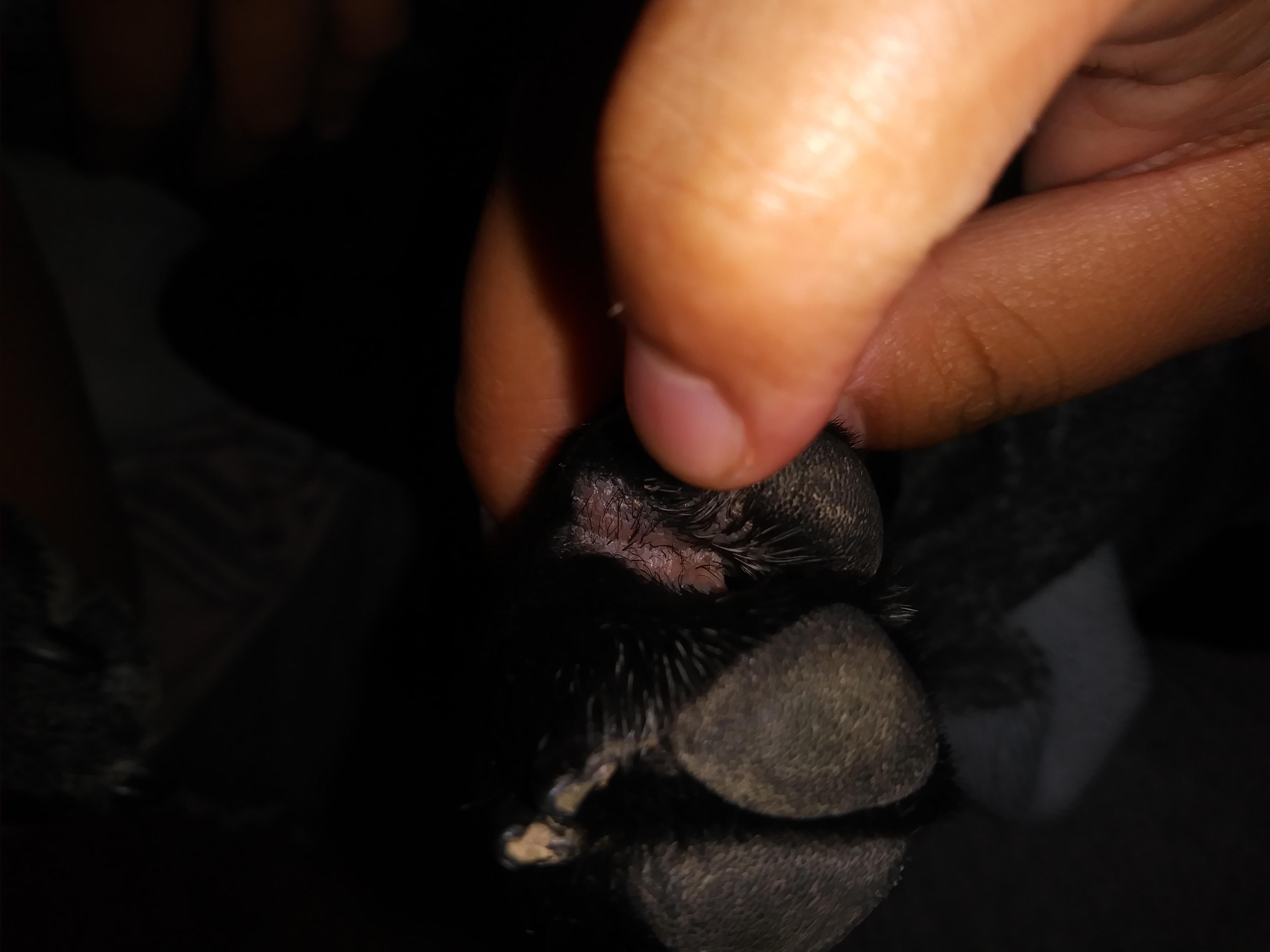 Question details sensitive content