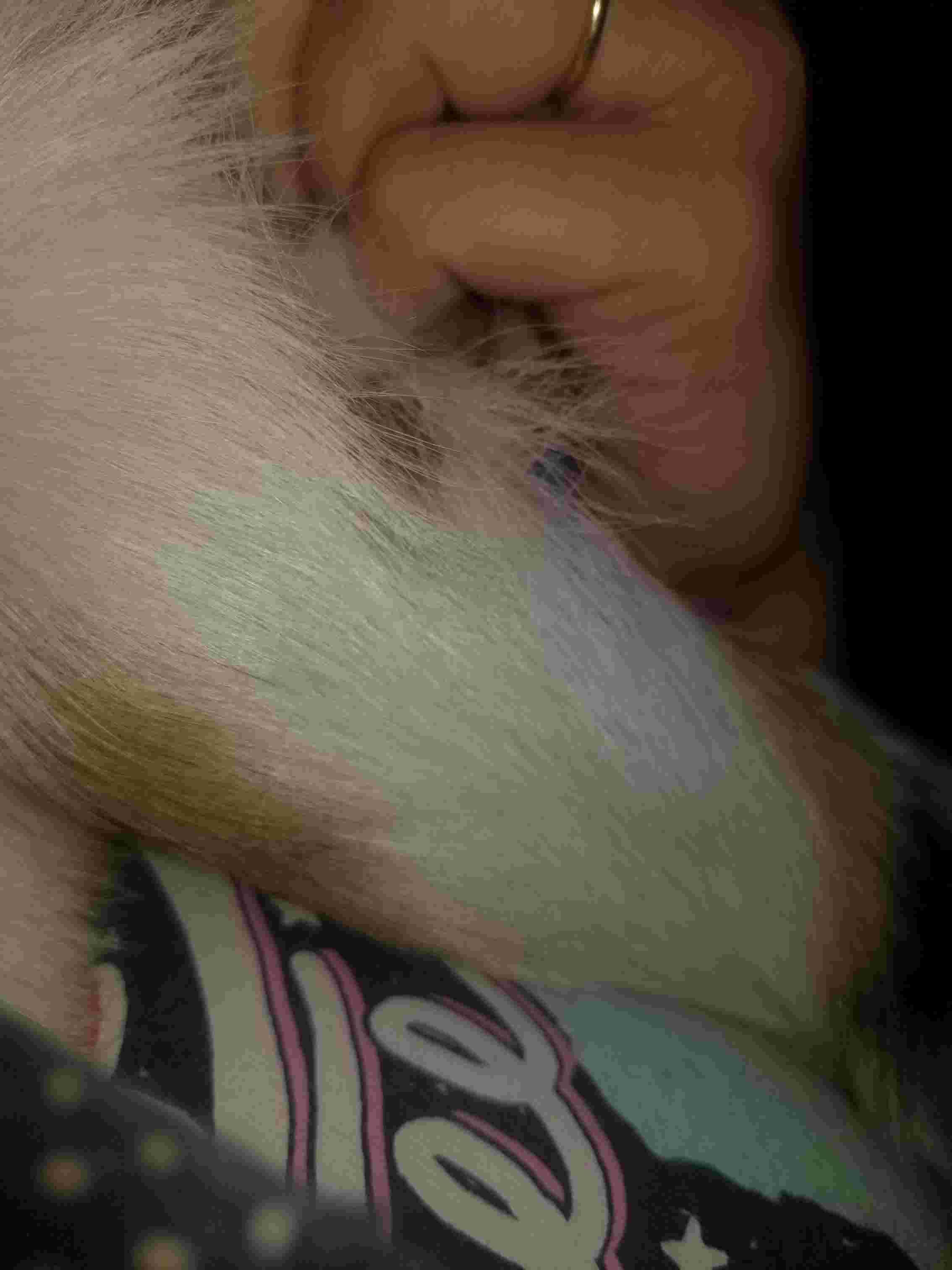 Question details sensitive content