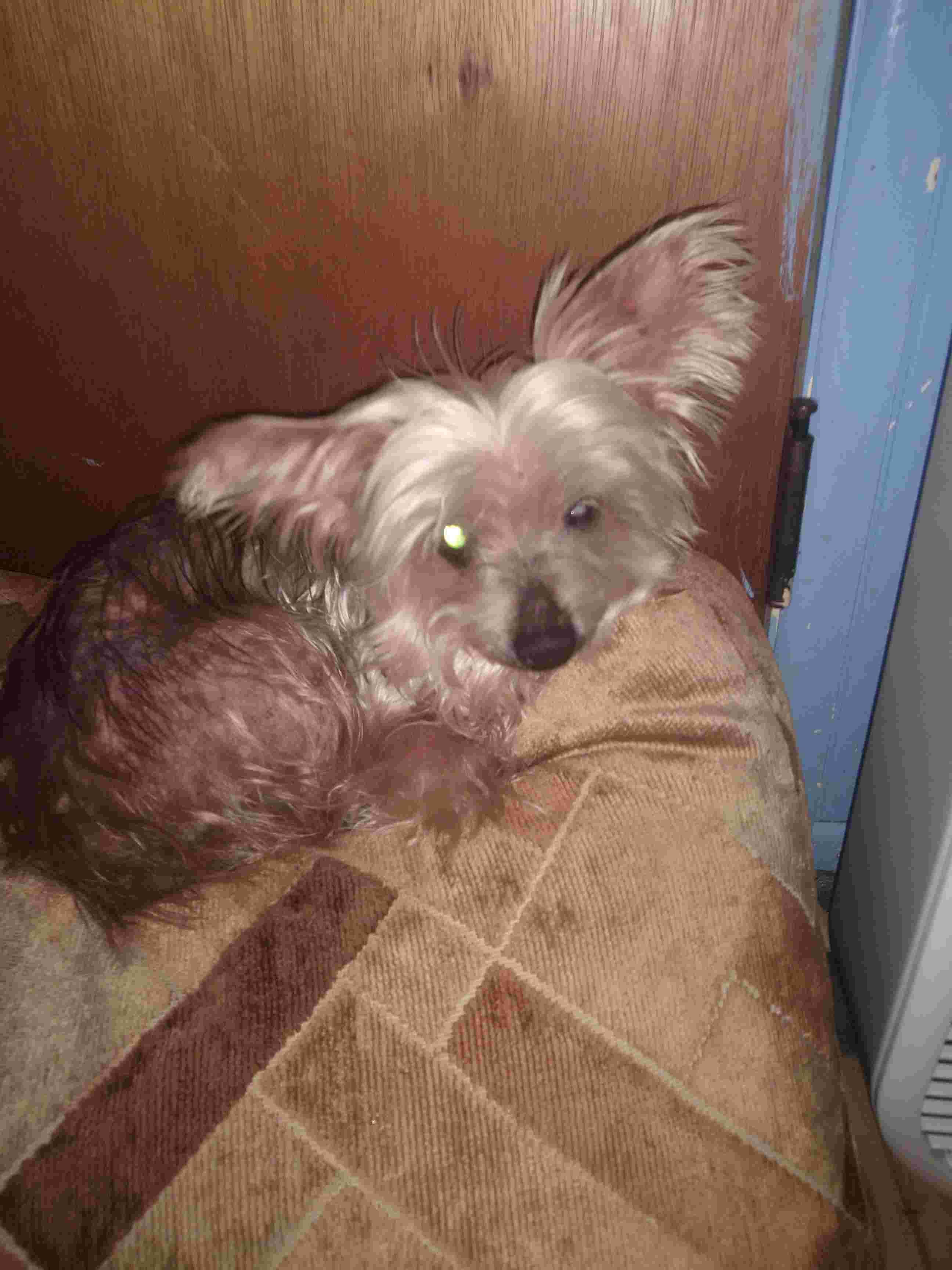 Question details sensitive content