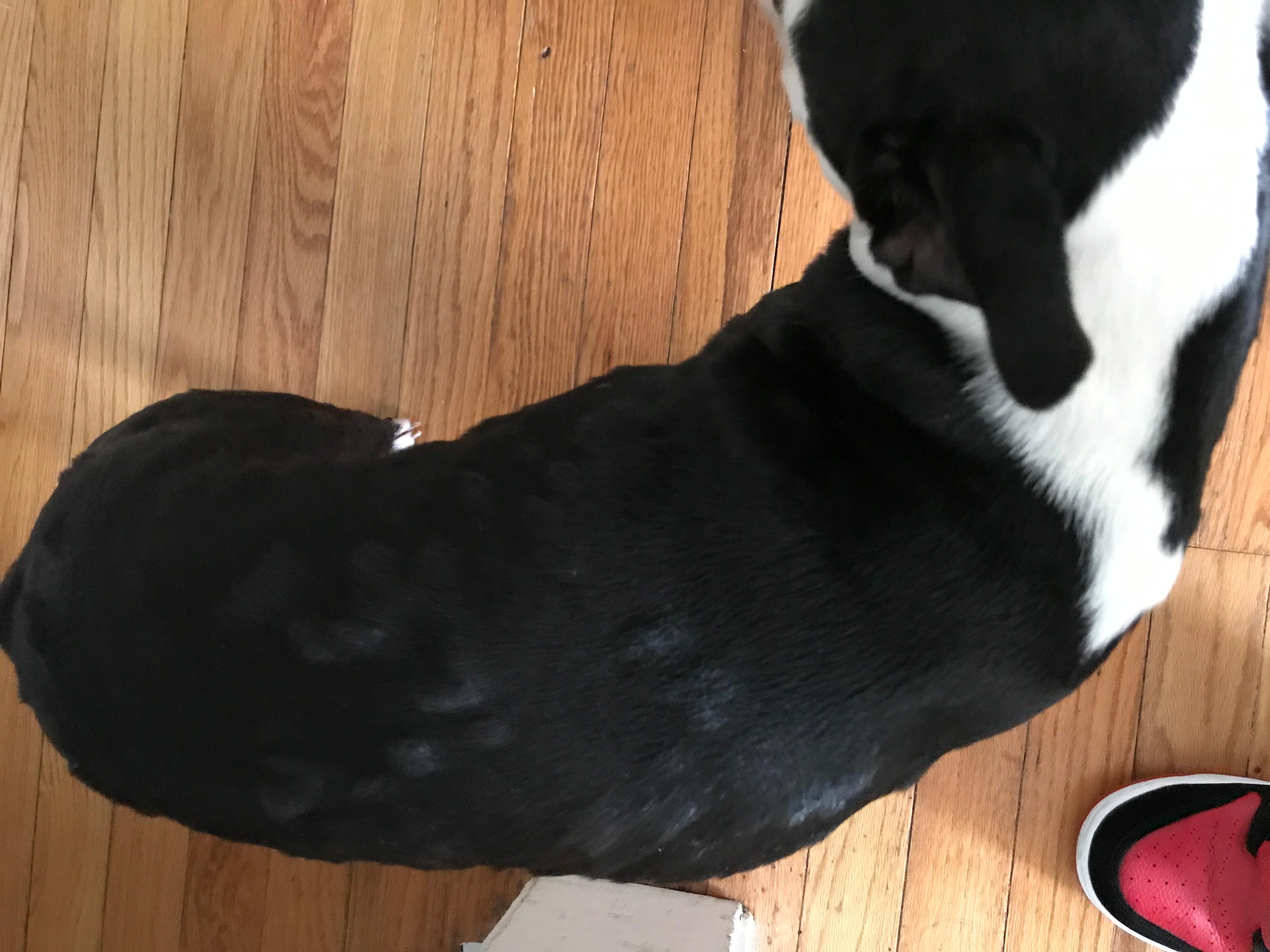 Question details sensitive content