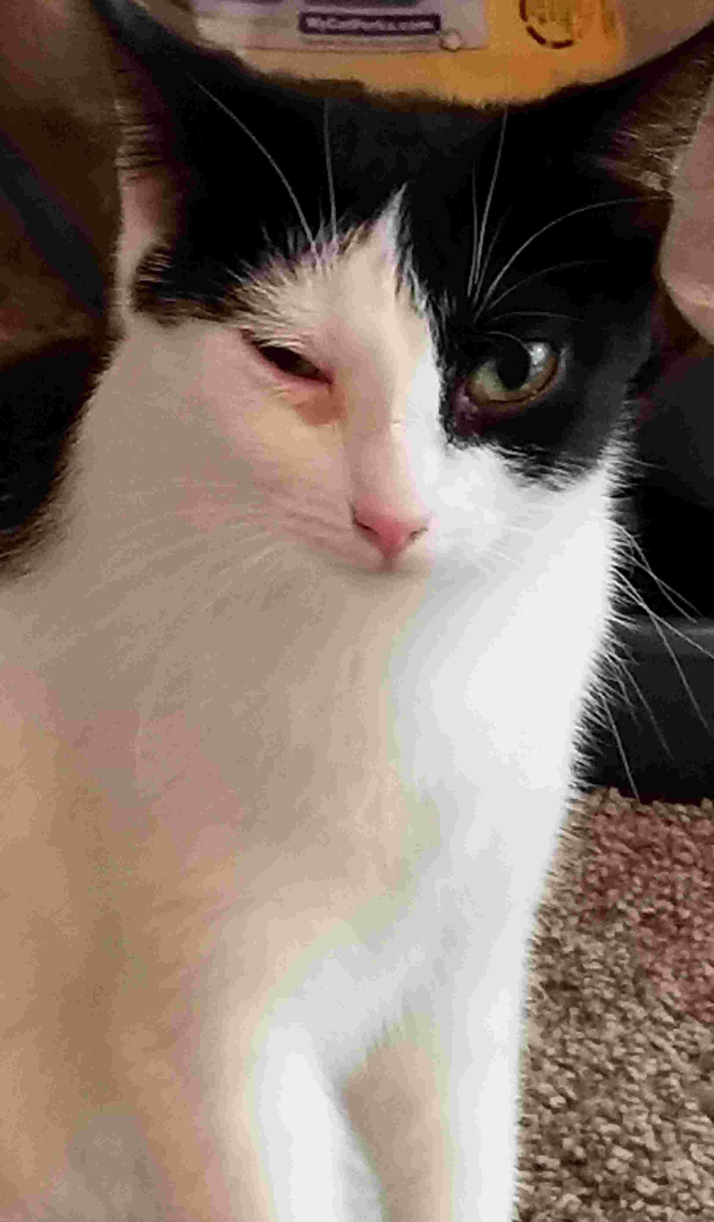 Question details sensitive content