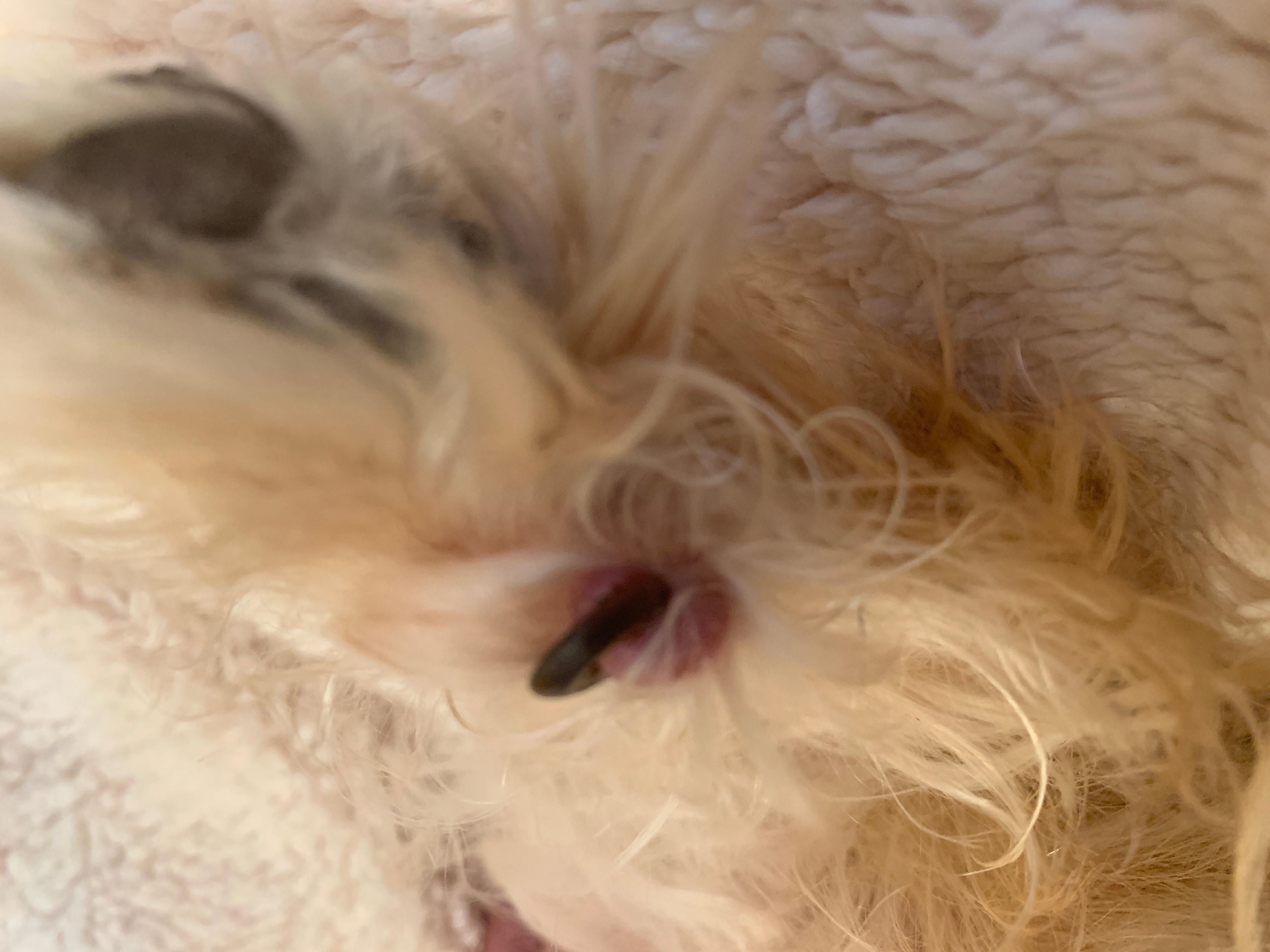 Question details sensitive content