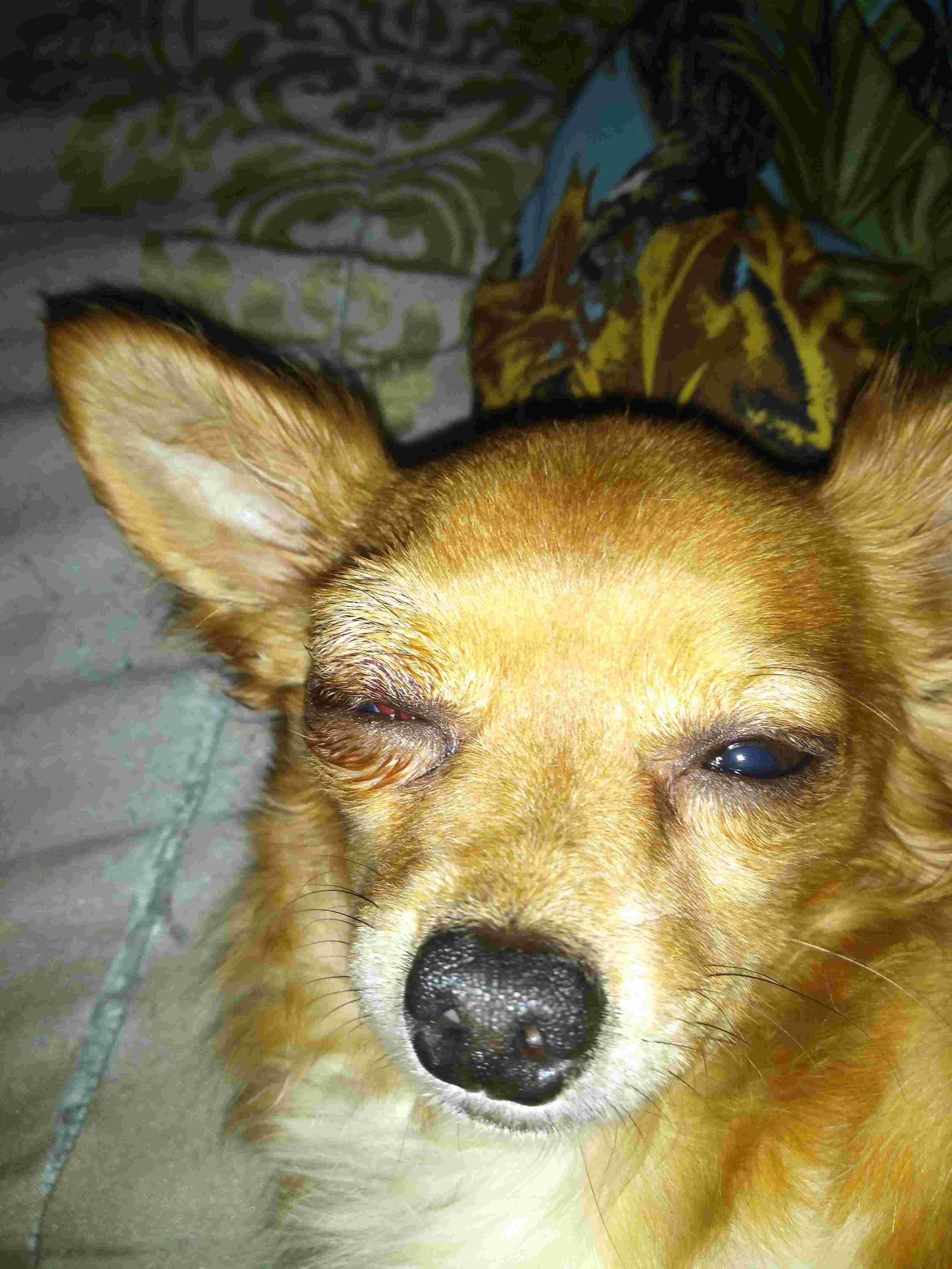 Question details sensitive content