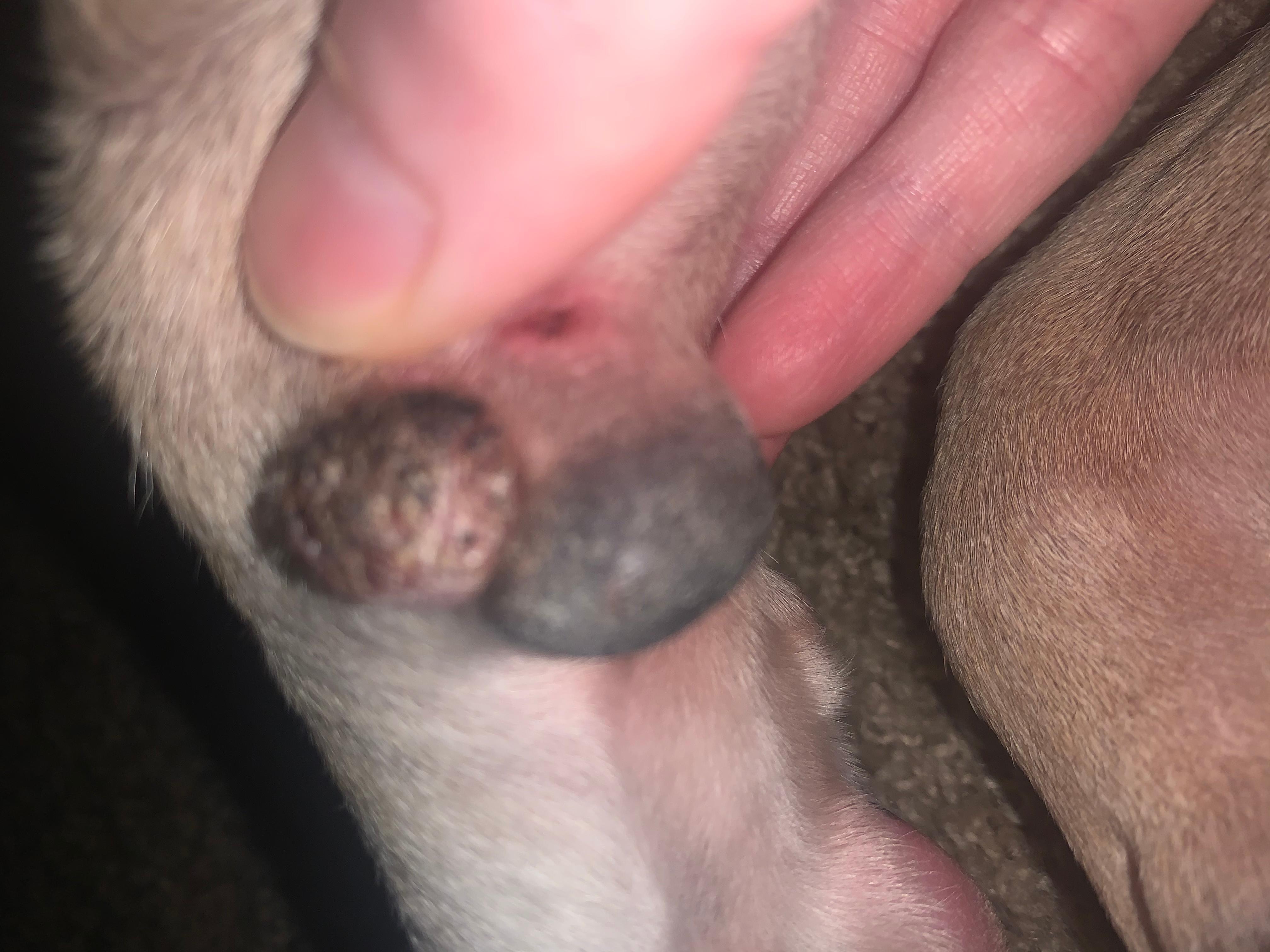 Question details sensitive content