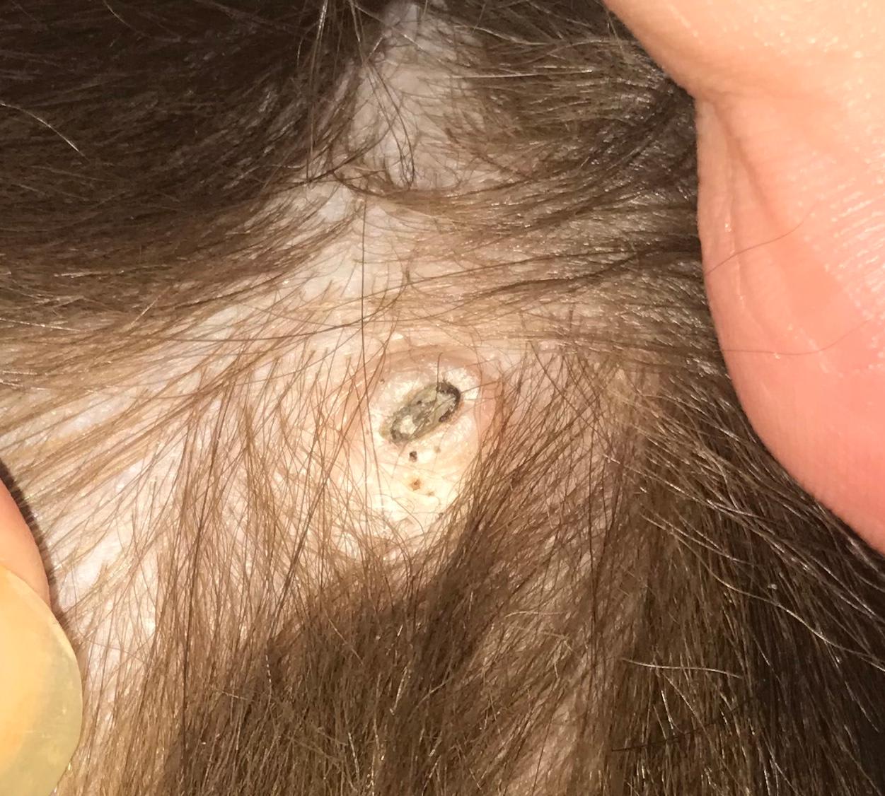 Question details sensitive content