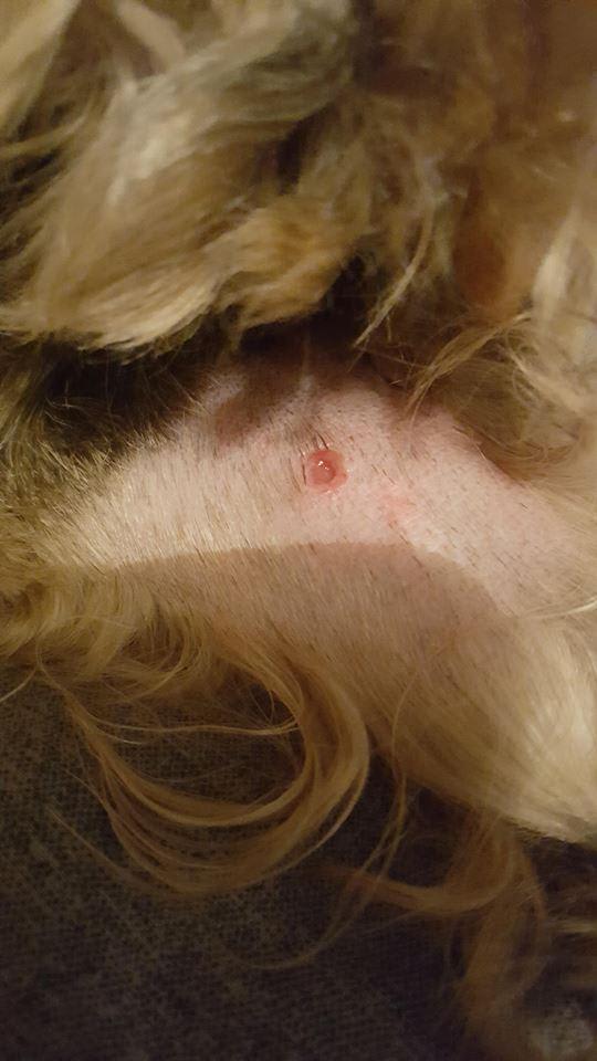 Question details sensitive content