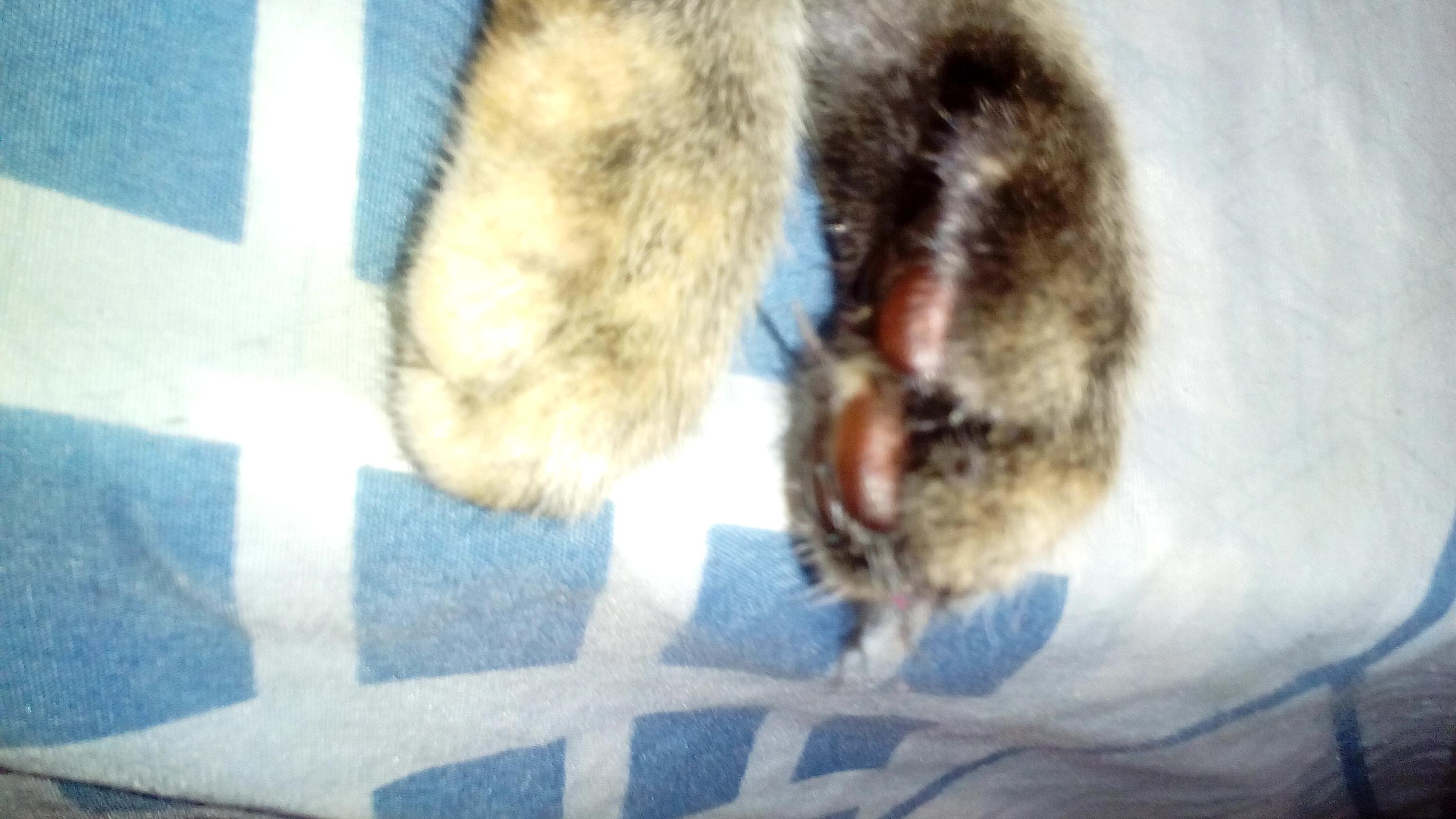 Question details sensitive content