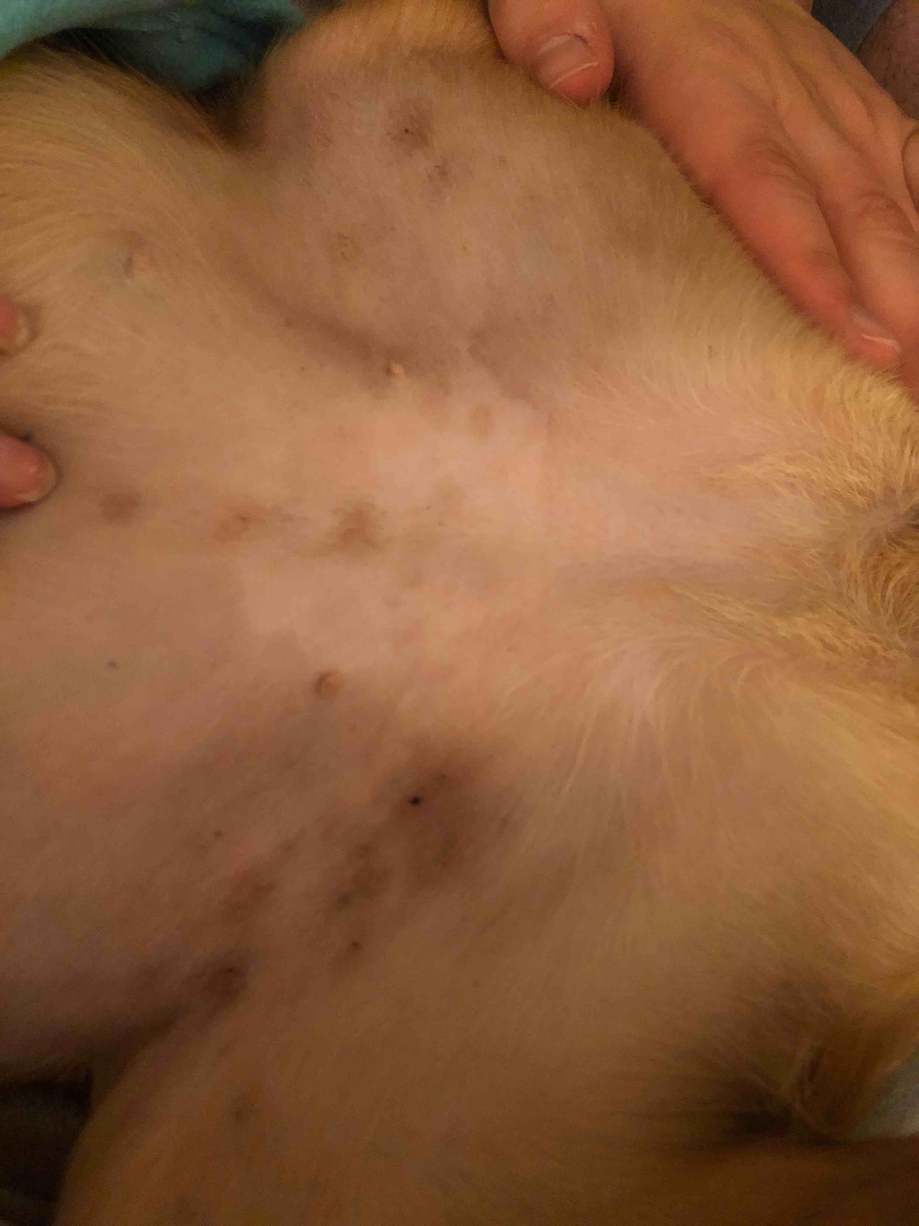 Question details sensitive content