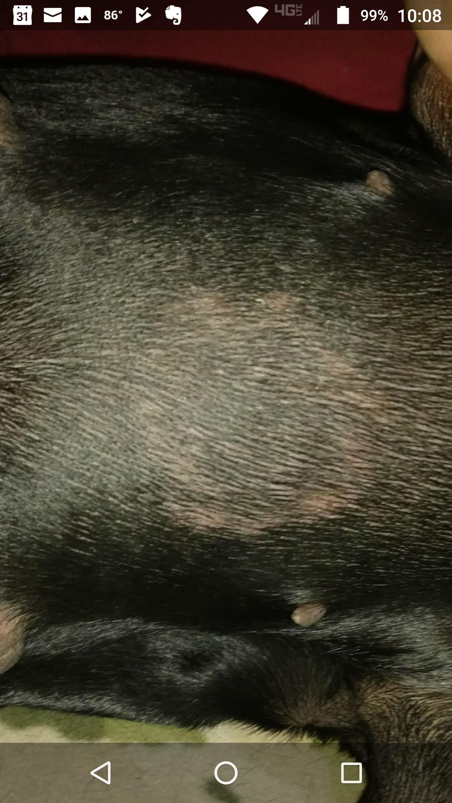 Question details sensitive content