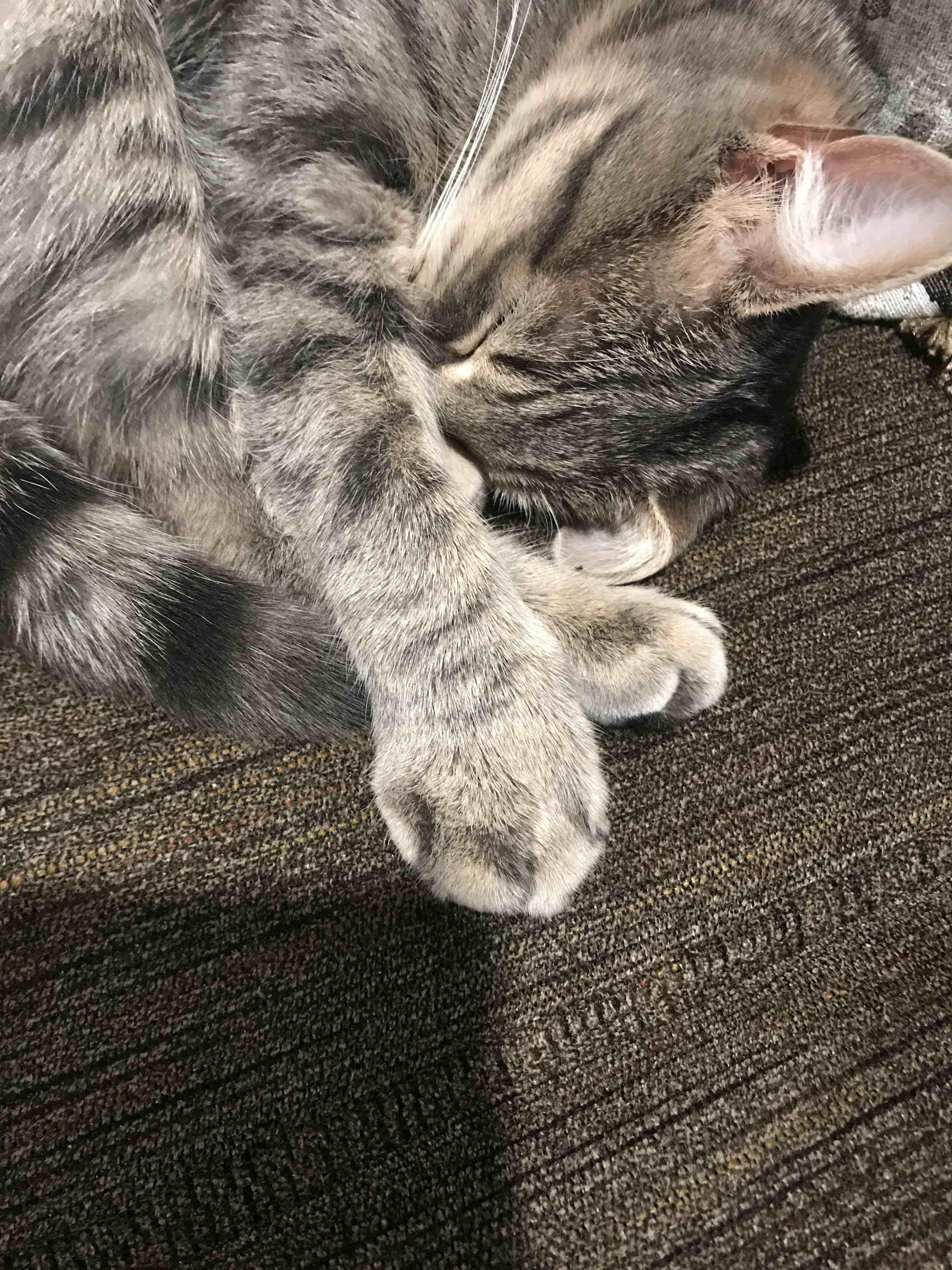 Question details sensitive content