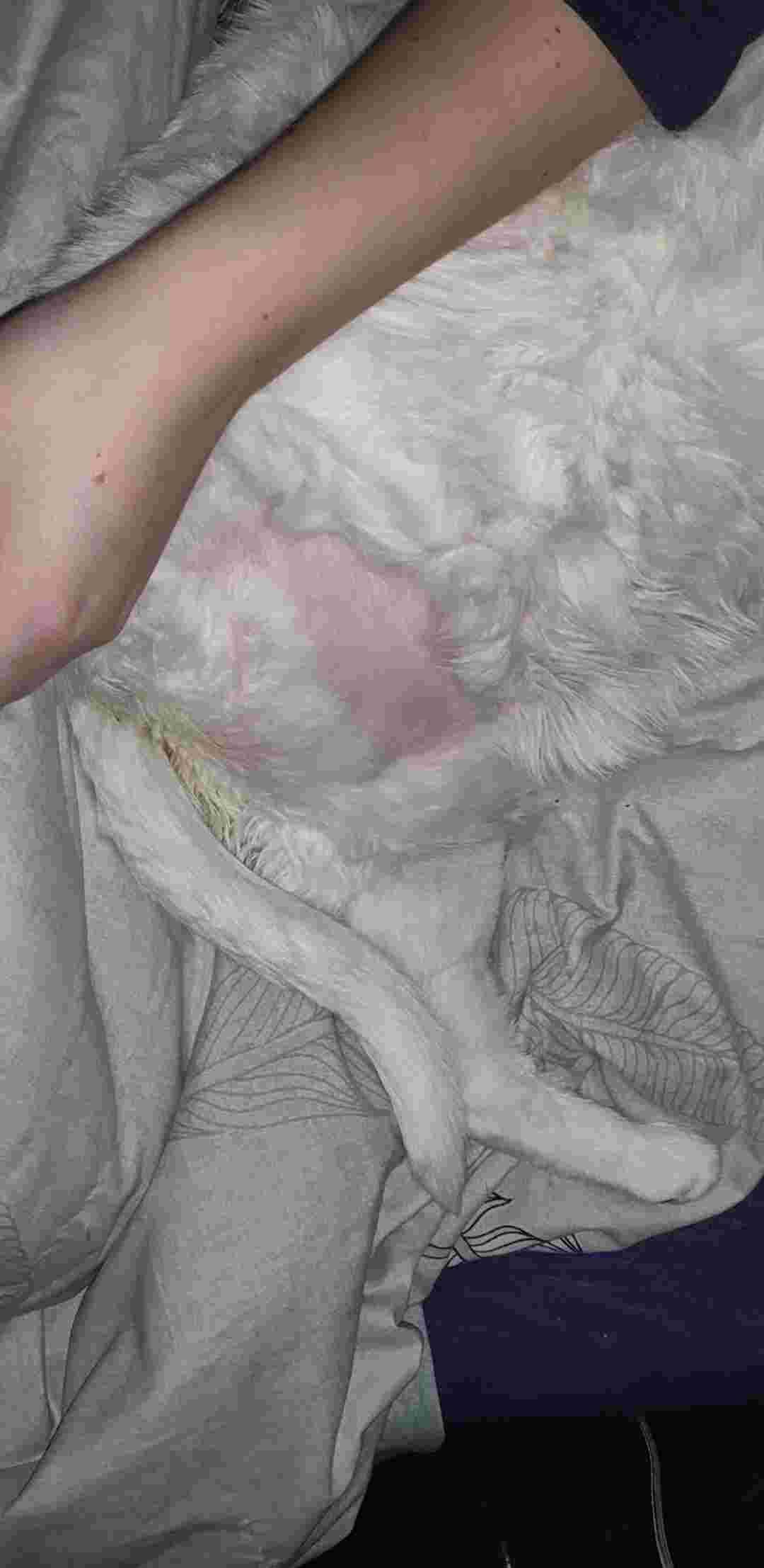 Question details sensitive content