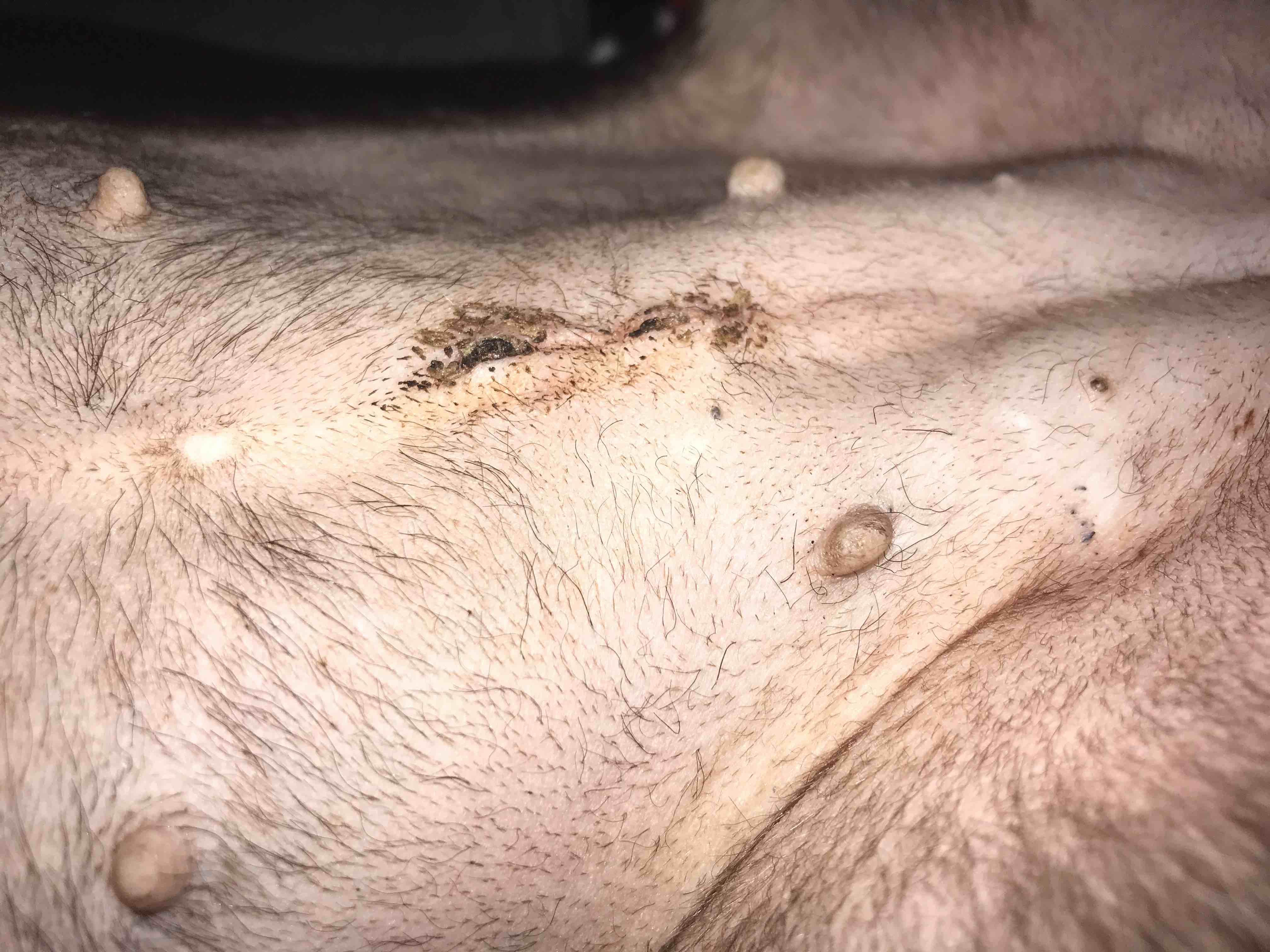 Question details sensitive content