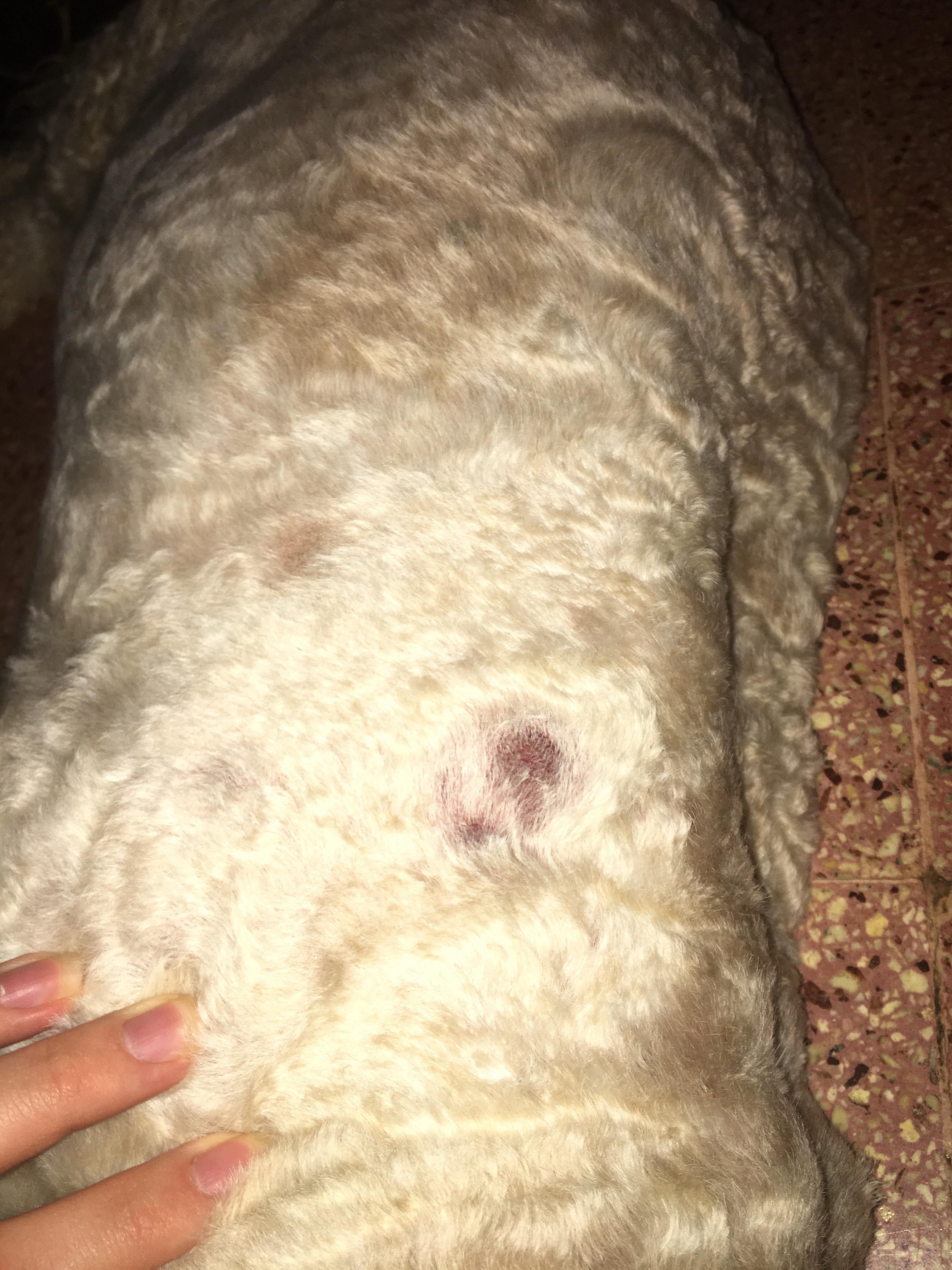 Question details sensitive content