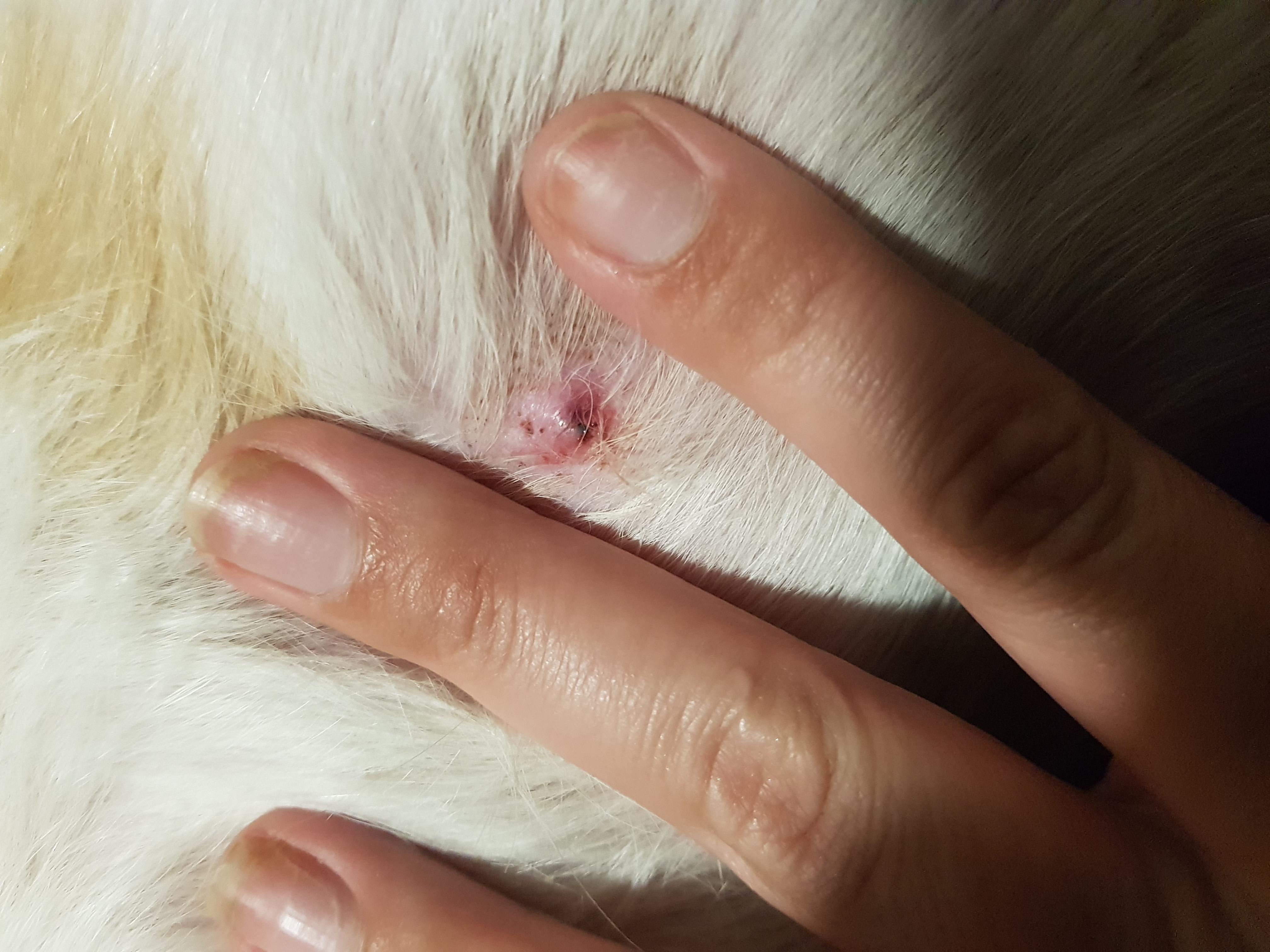 Question details sensitive content