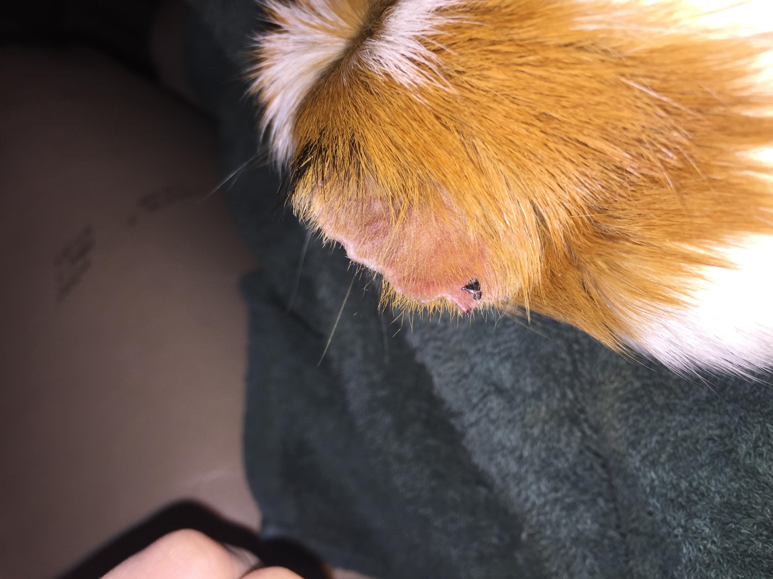 Question details sensitive content