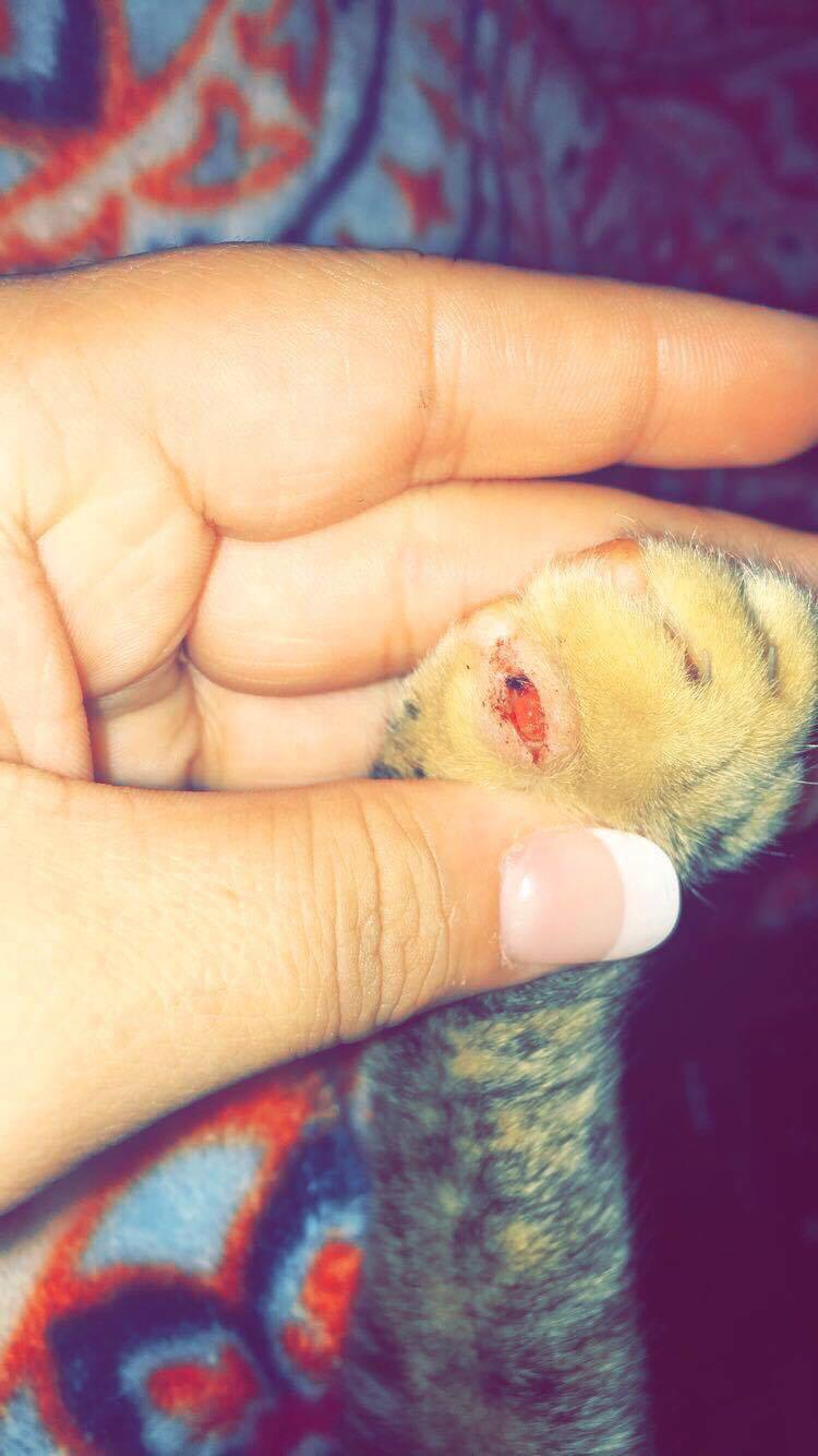 Question details sensitive content