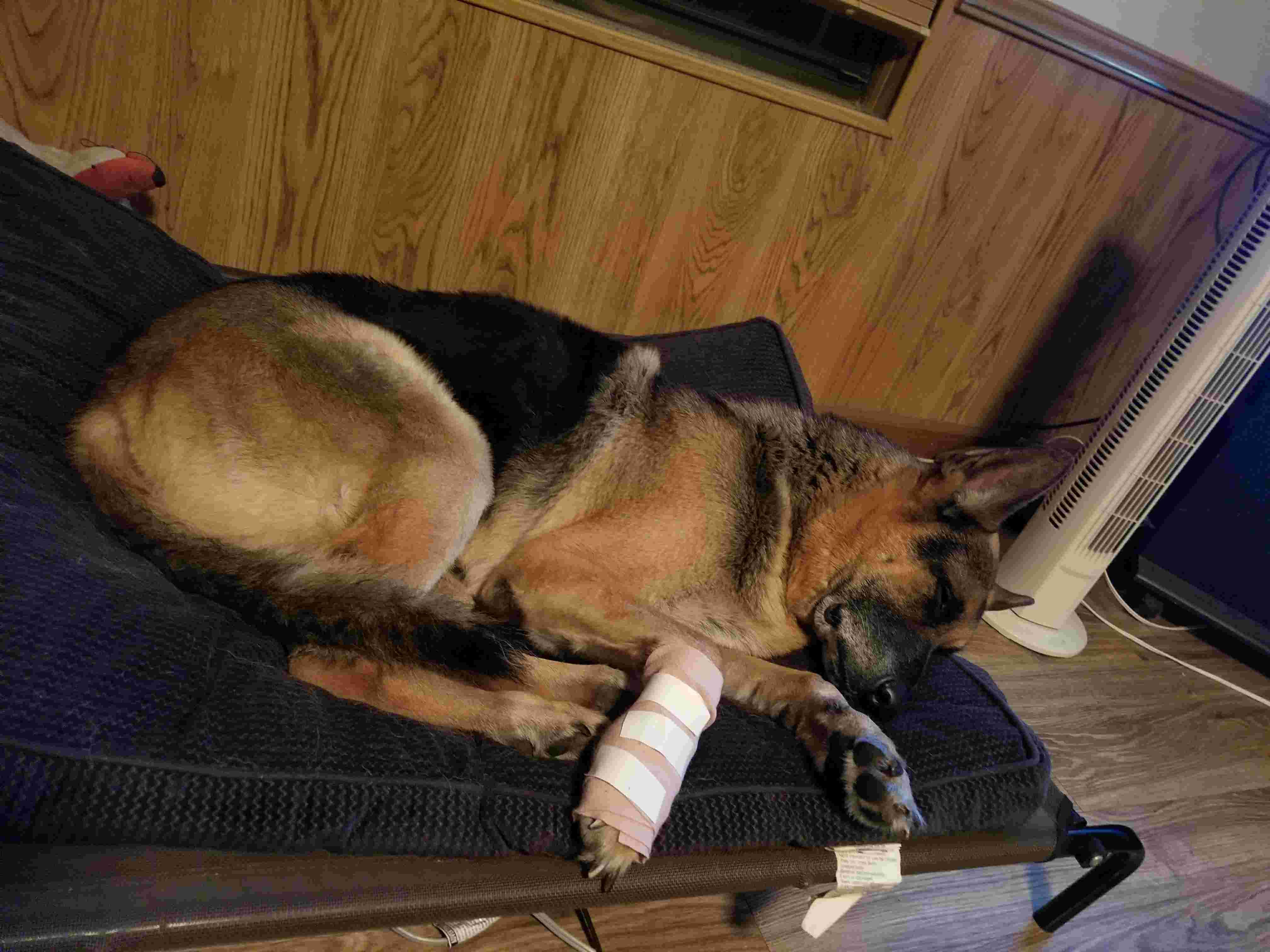 Question details sensitive content