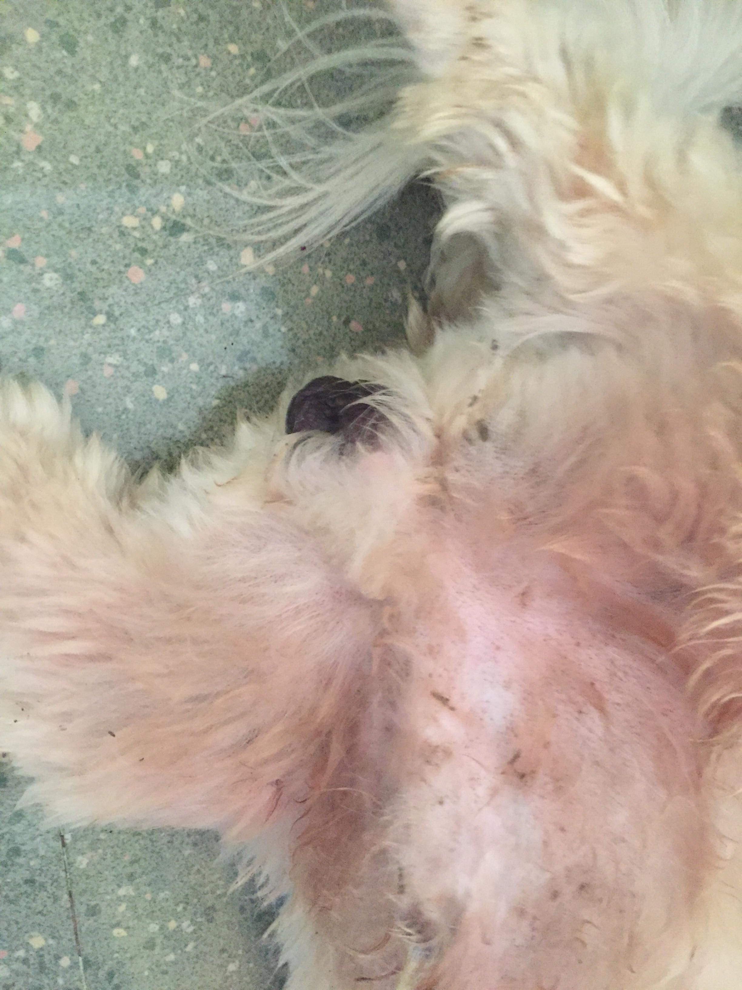 Question details sensitive content