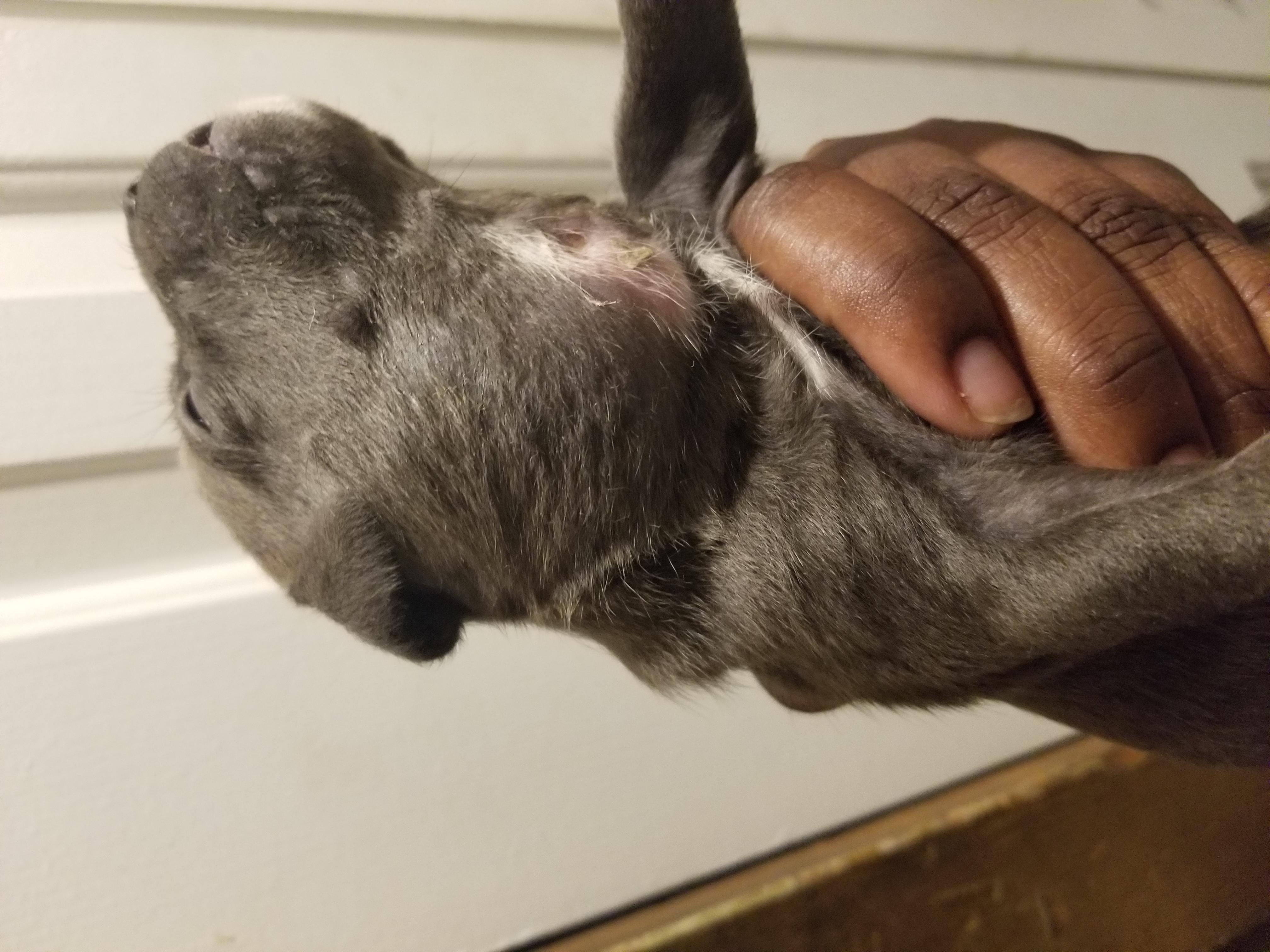 Question details sensitive content