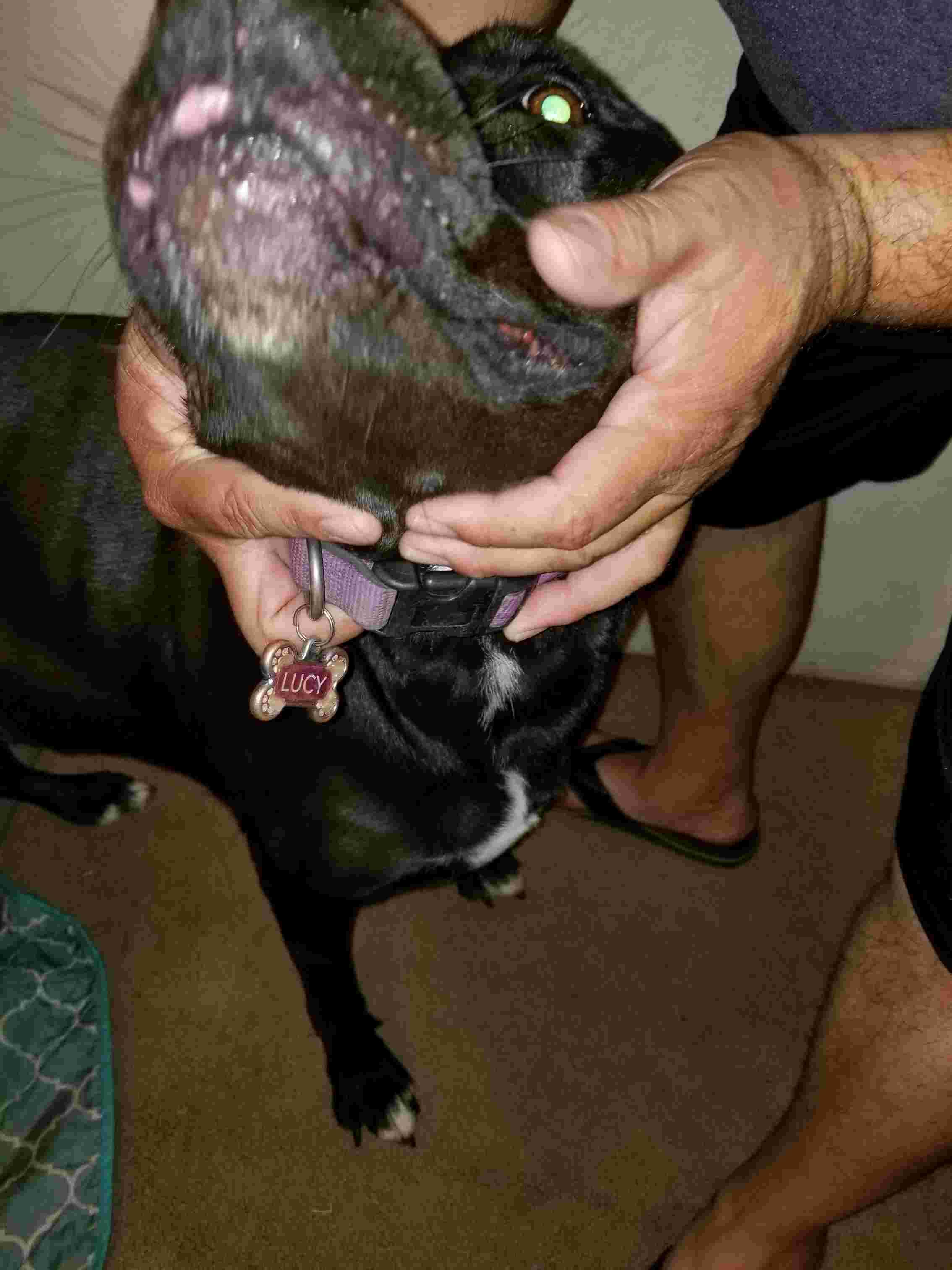 Question details sensitive content