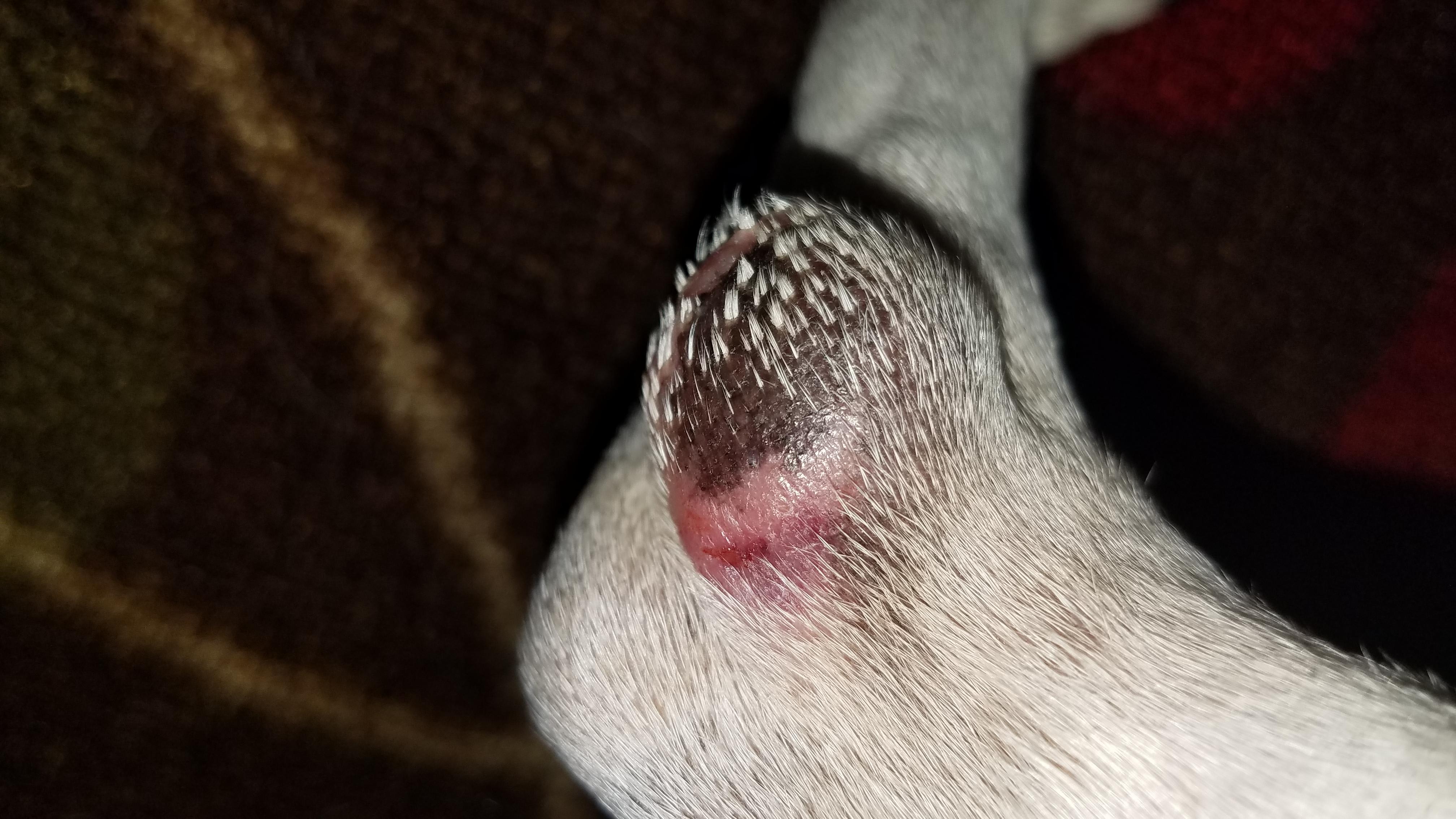 Question details sensitive content