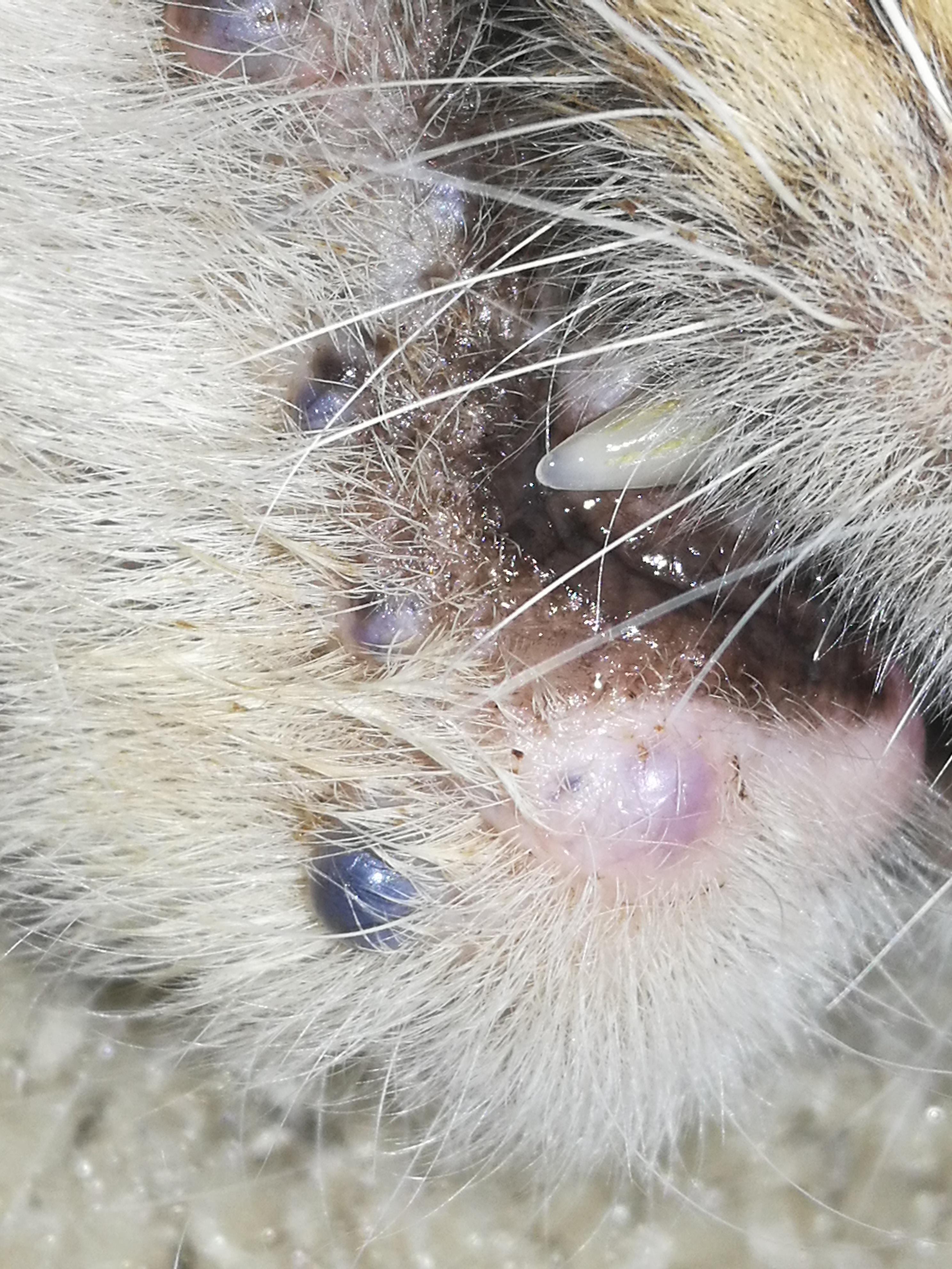 Question details sensitive content