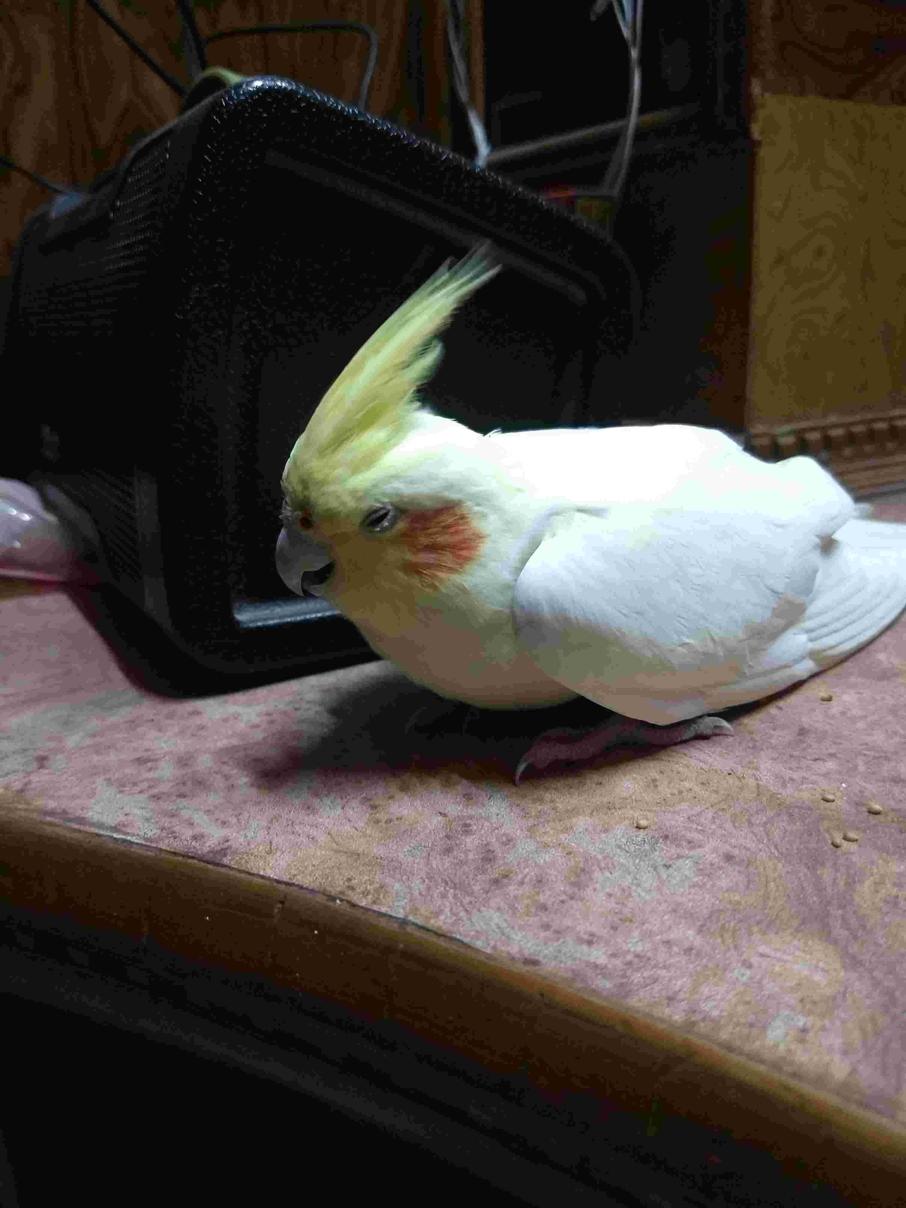 Question details sensitive content